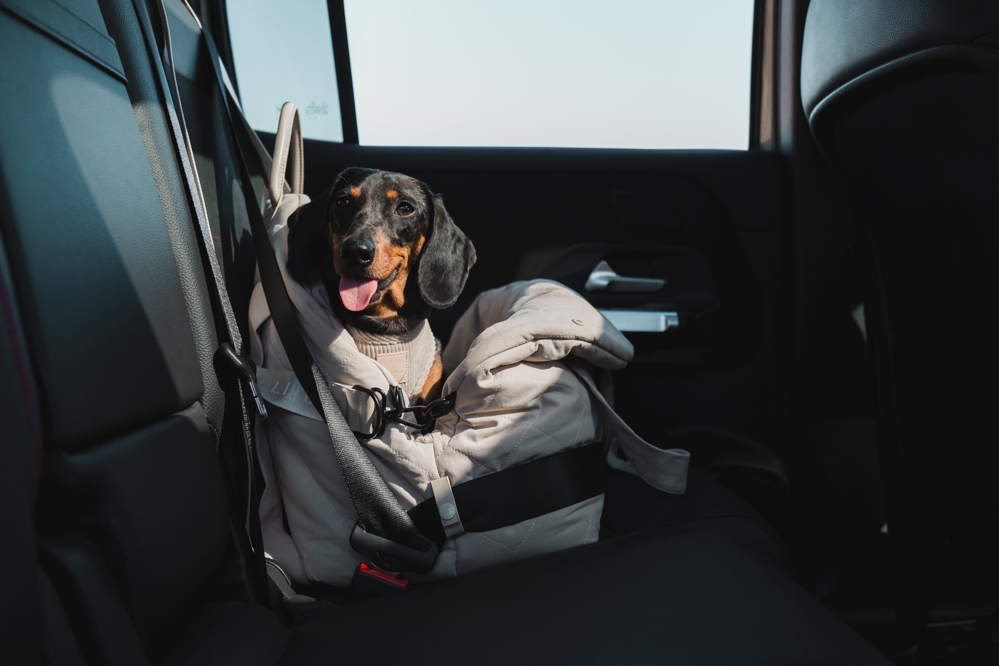 FuzzYard Life Multipurpose Carrier & Car Seat - Sandstone