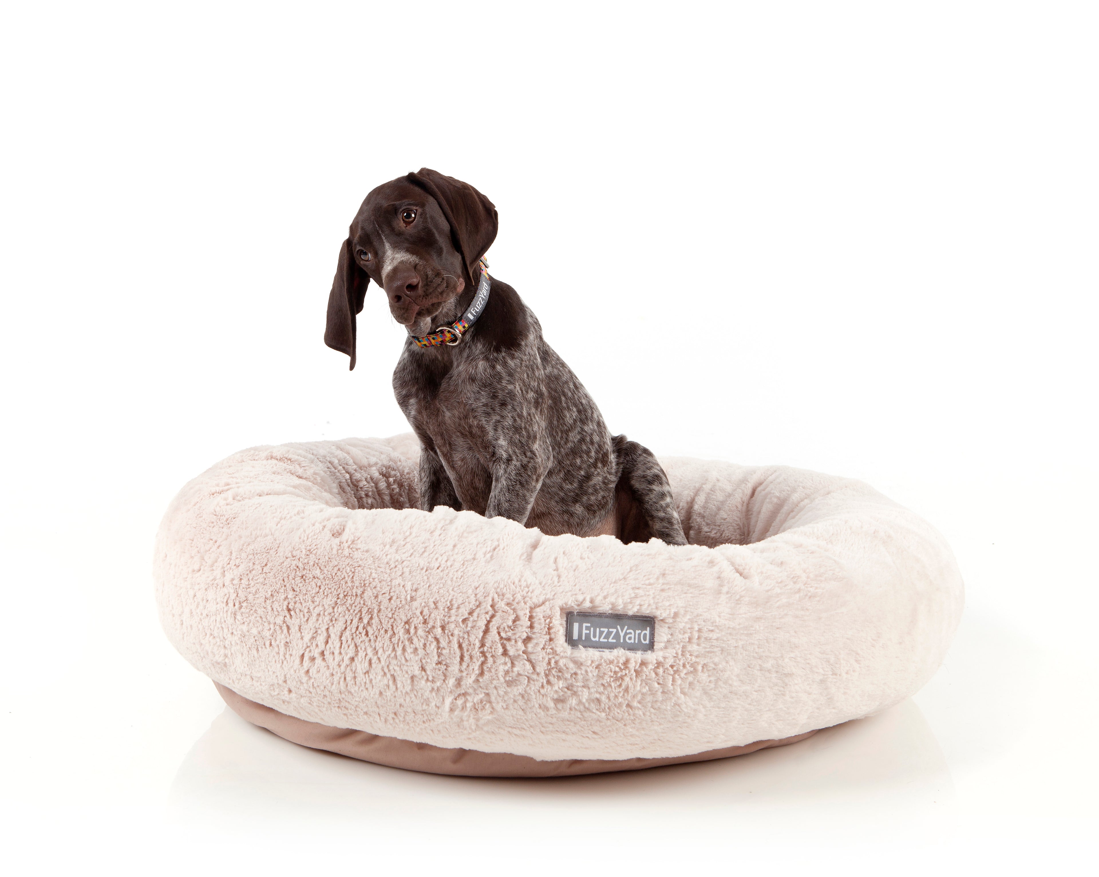 Dreameazzzy Bed - Winter Cream