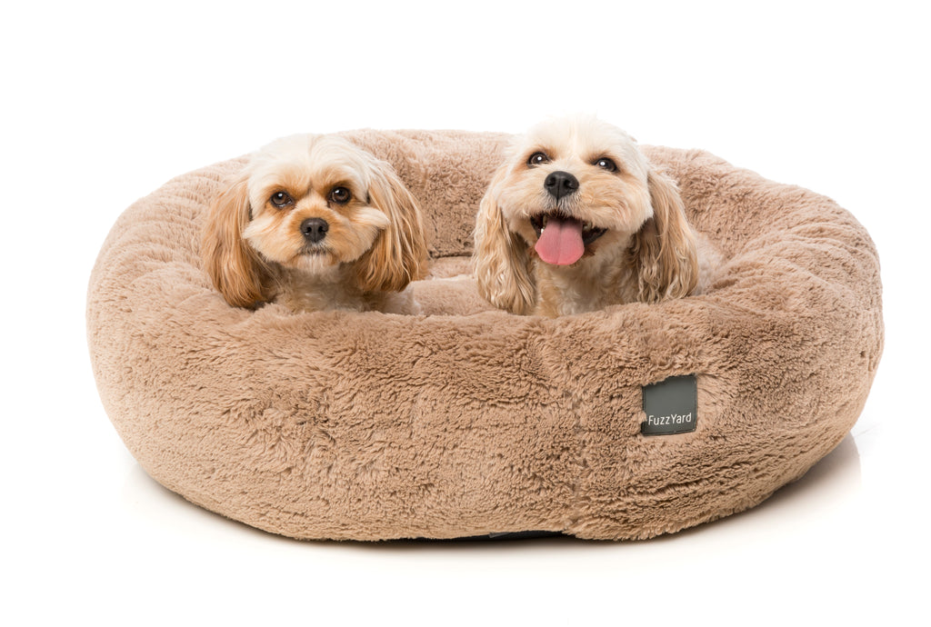 Dreameazzzy Bed - Chai