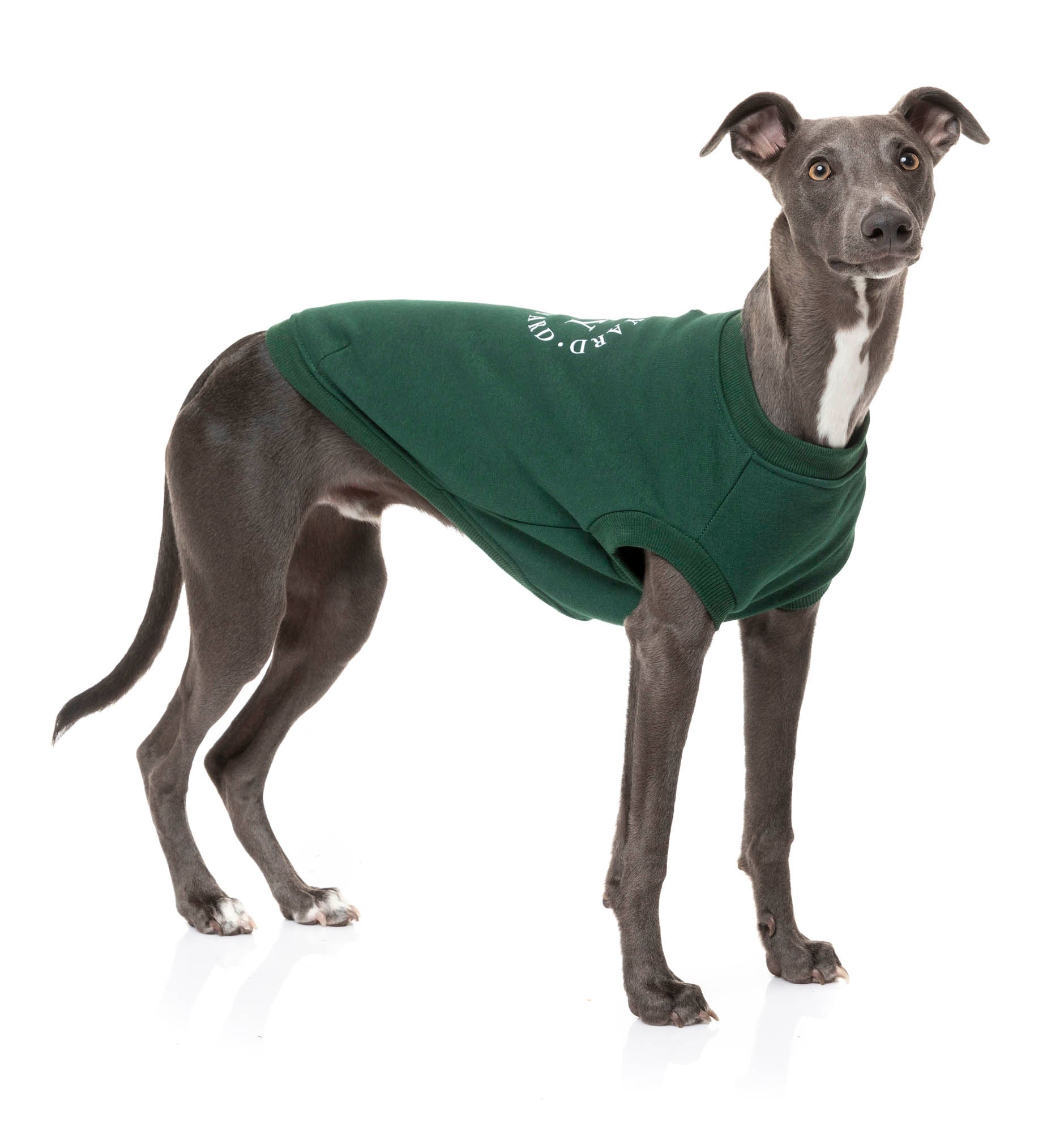 The FY Sweater - Grey