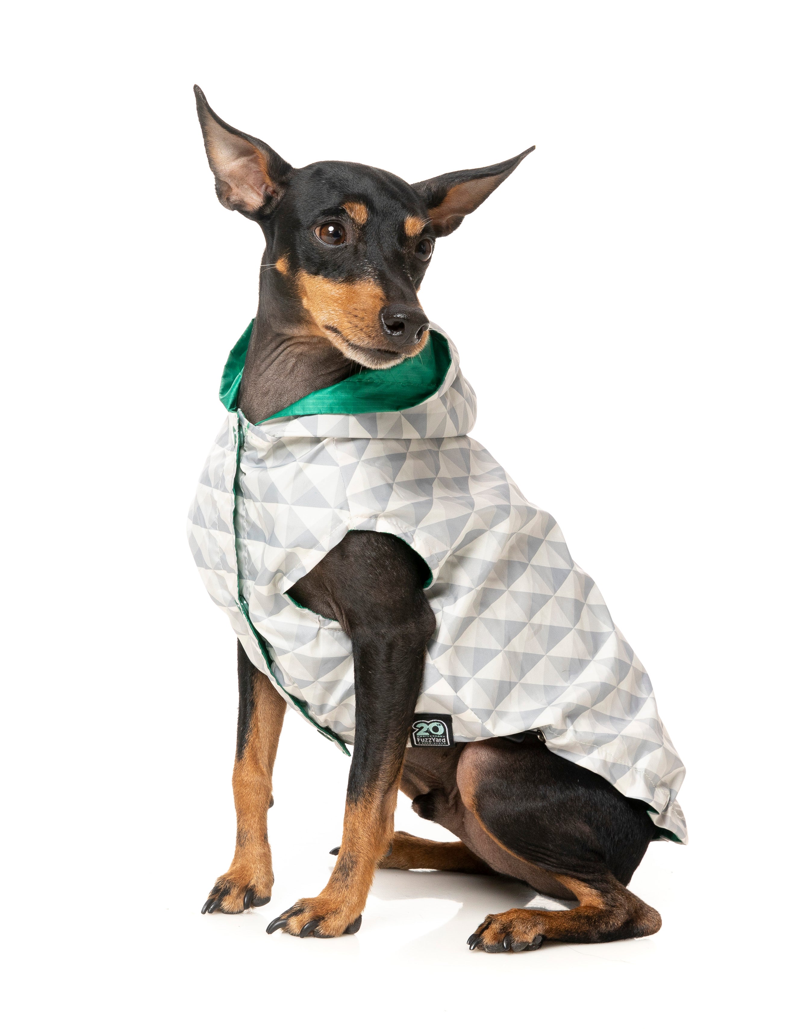 Flipside Raincoat - Green/Beige