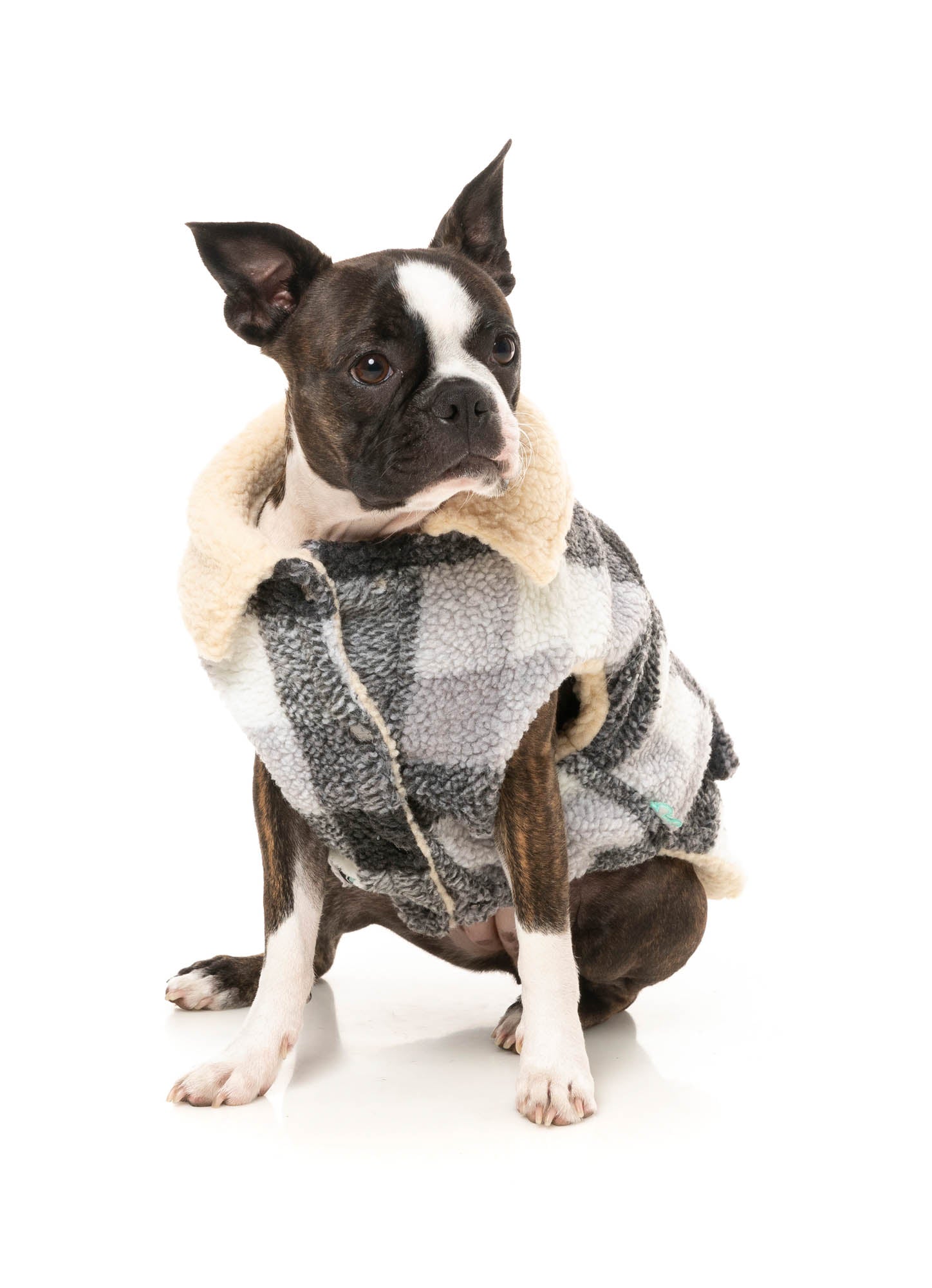 Lumberjack Jacket - Green & Cream