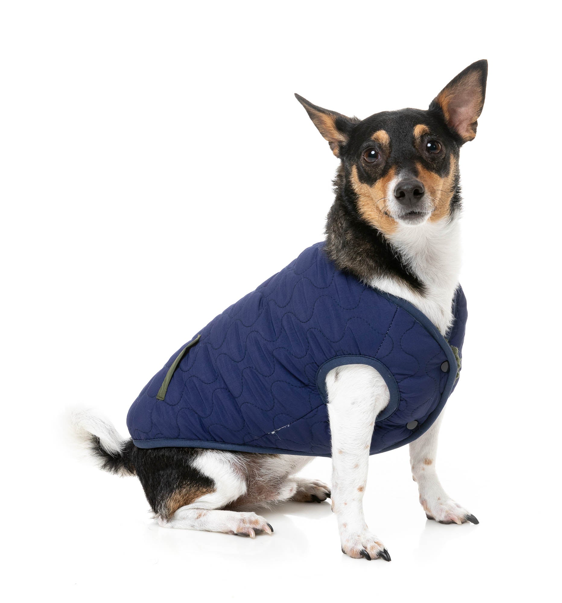 Nara Jacket - Dark Moss