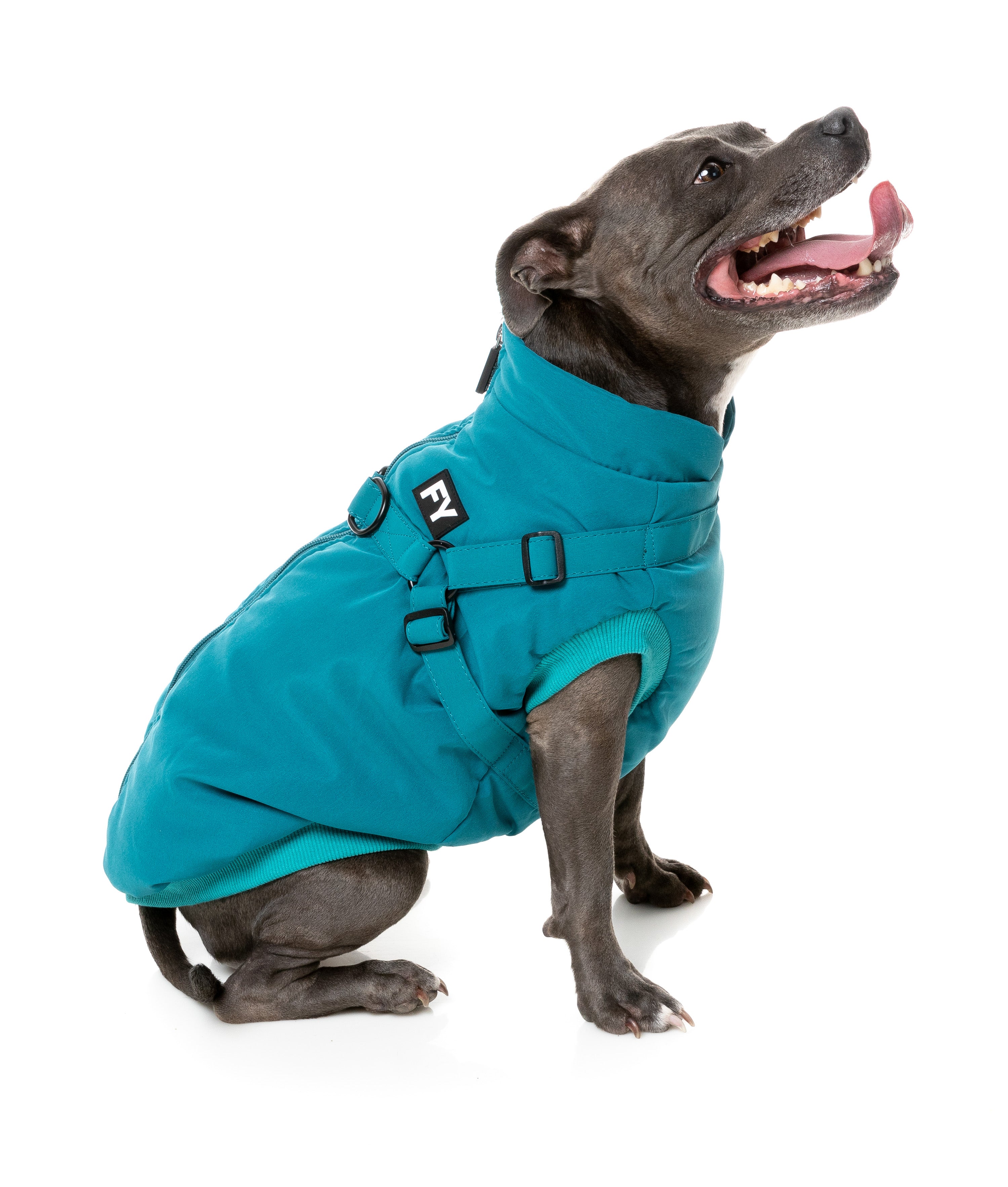 Flash Jacket - Dark Teal