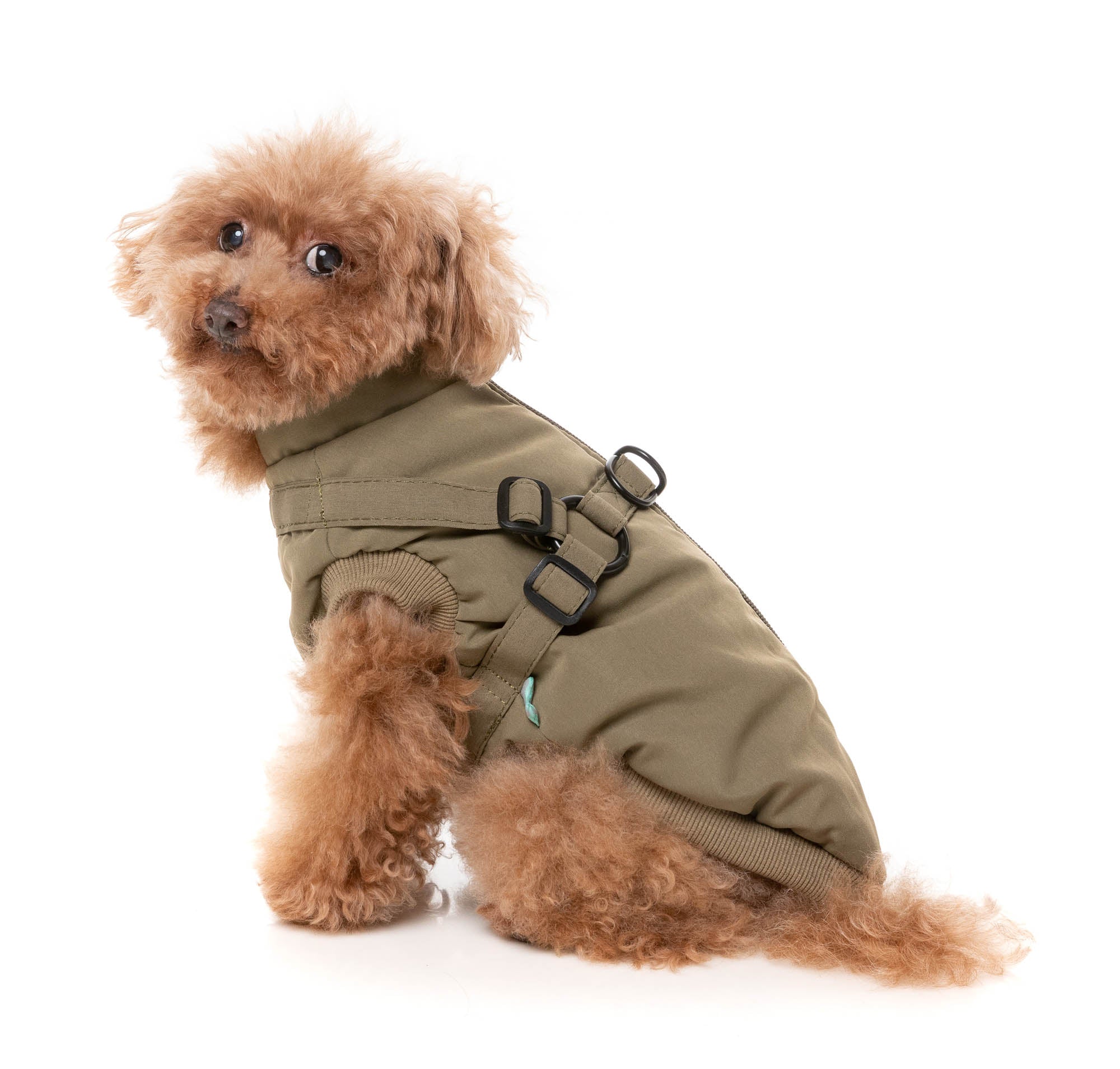 Flash Jacket - Khaki