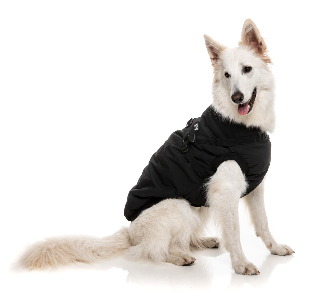 Flash Jacket - Black