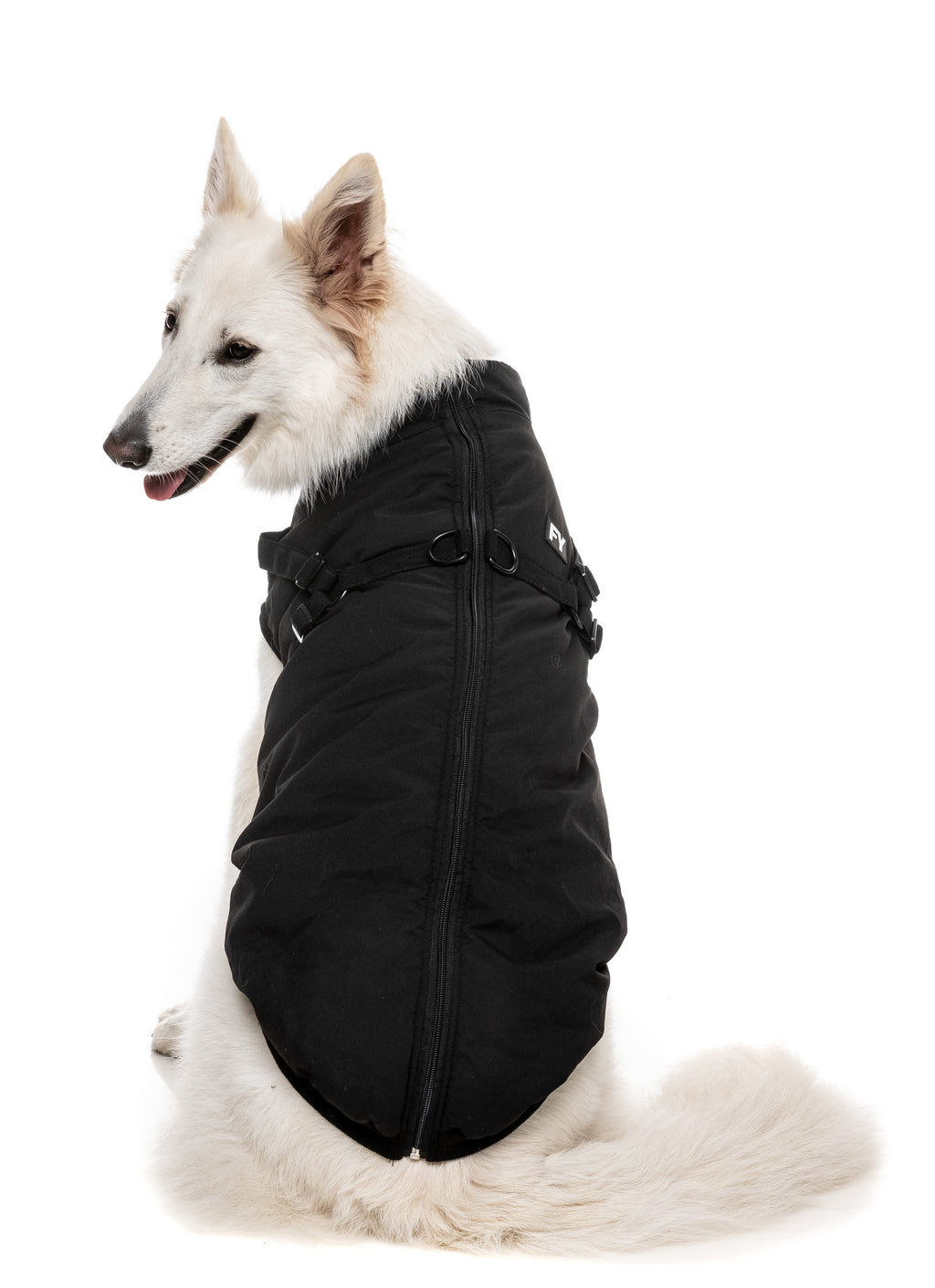 Flash Jacket - Black