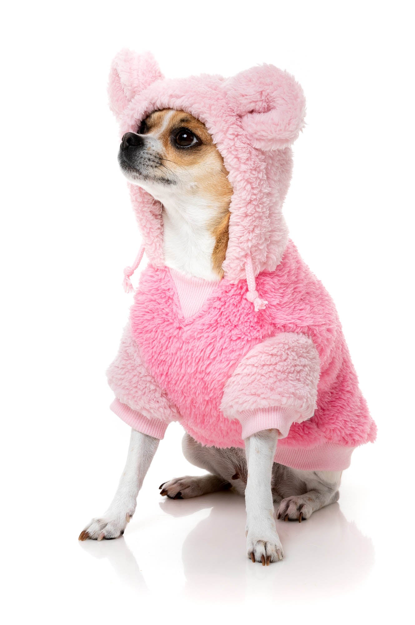 Winnie Hoodie - Pink