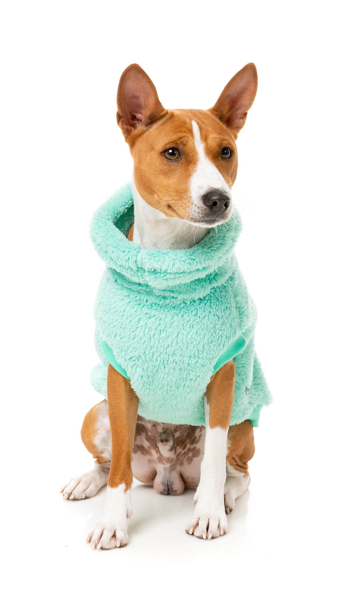 Turtle Teddy 24 Sweater - Teal