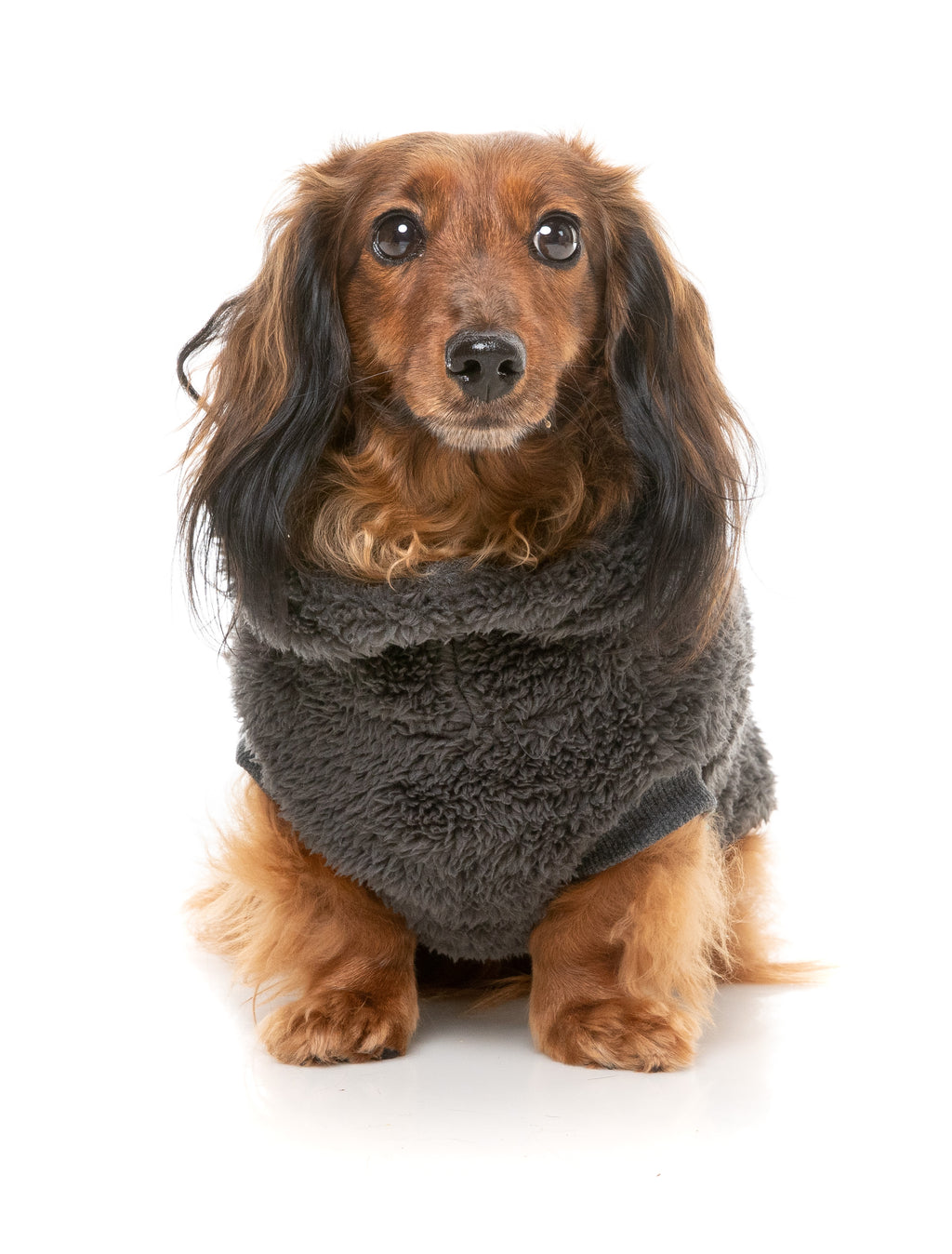 Turtle Teddy 24 Sweater - Carbon Black