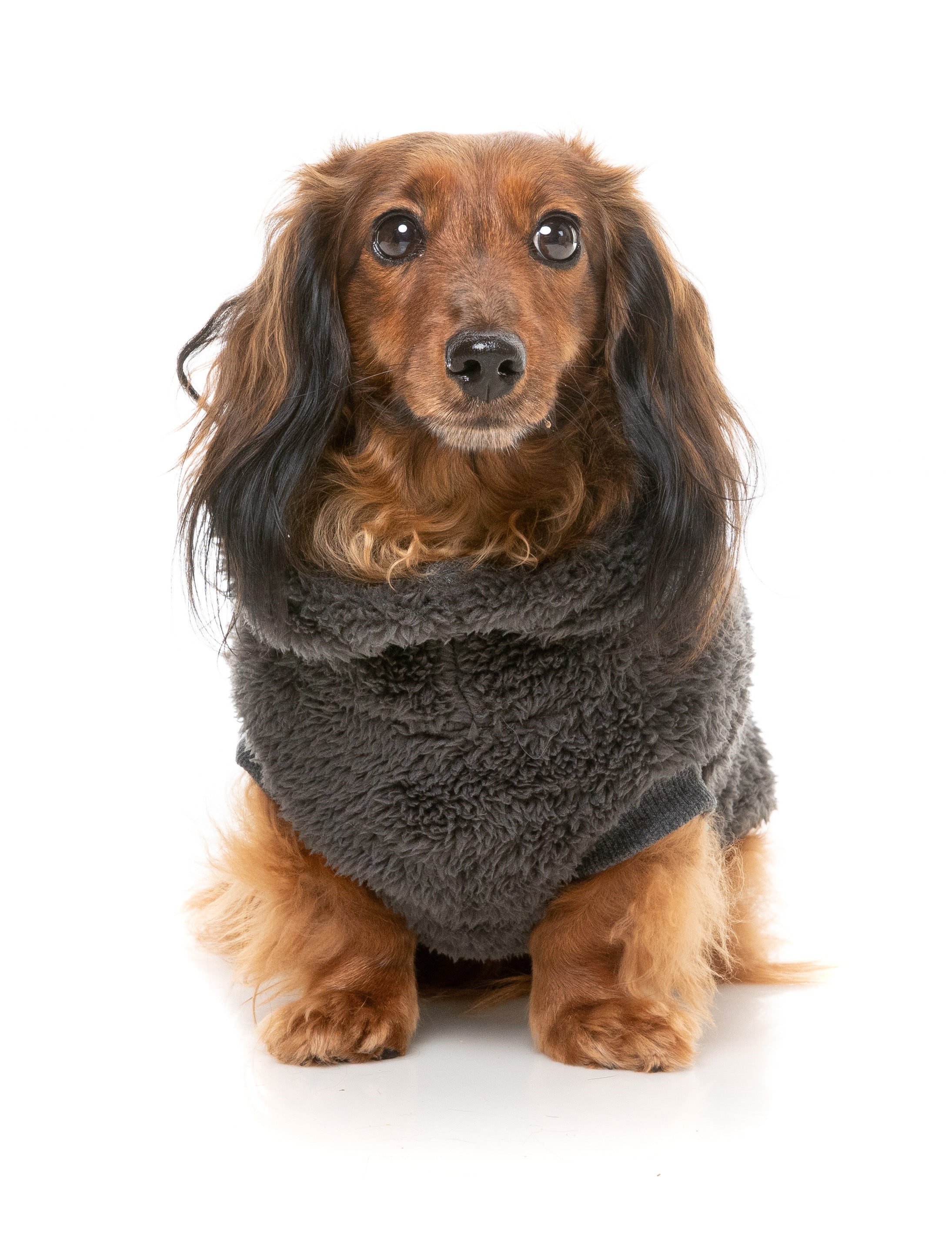 Turtle Teddy 24 Sweater - Carbon Black