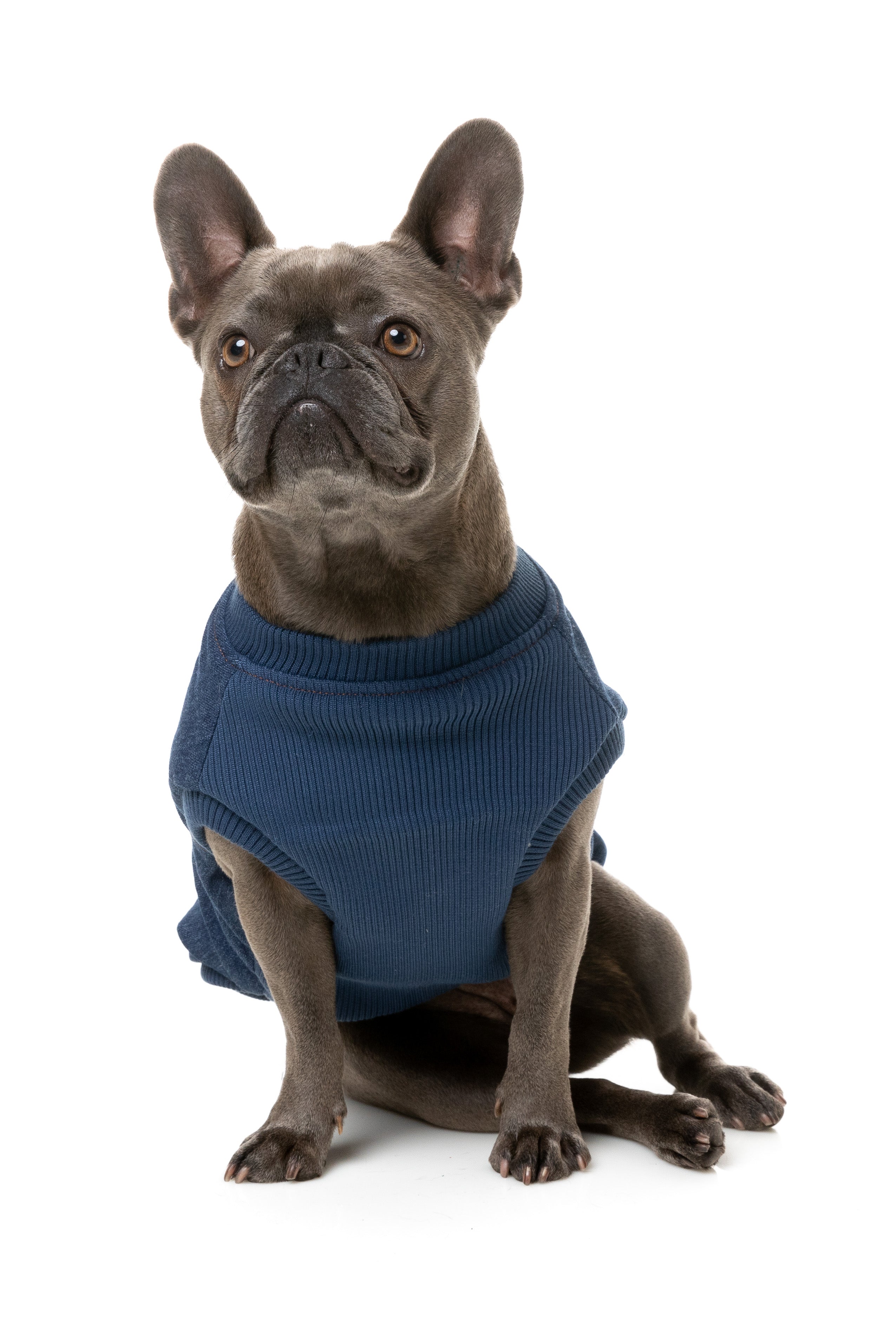 Kojima Harness Jacket - Indigo