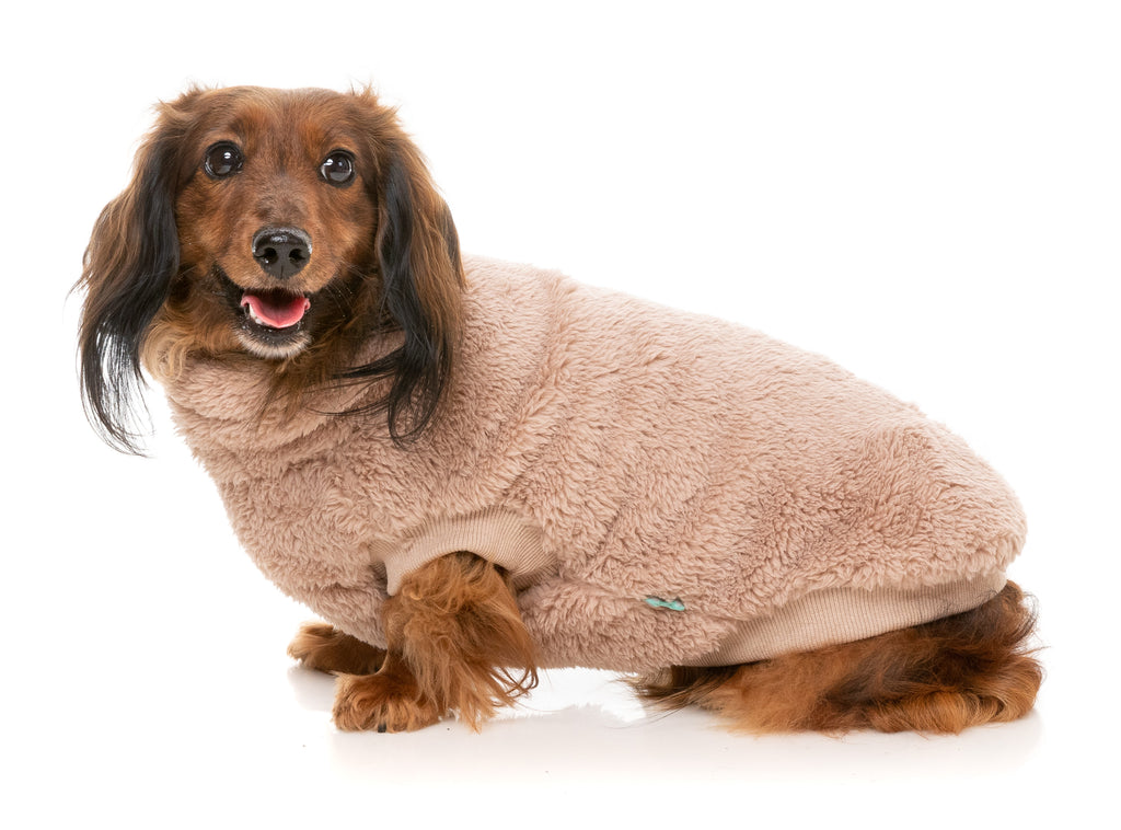 Turtle Teddy 24 Sweater -Chai