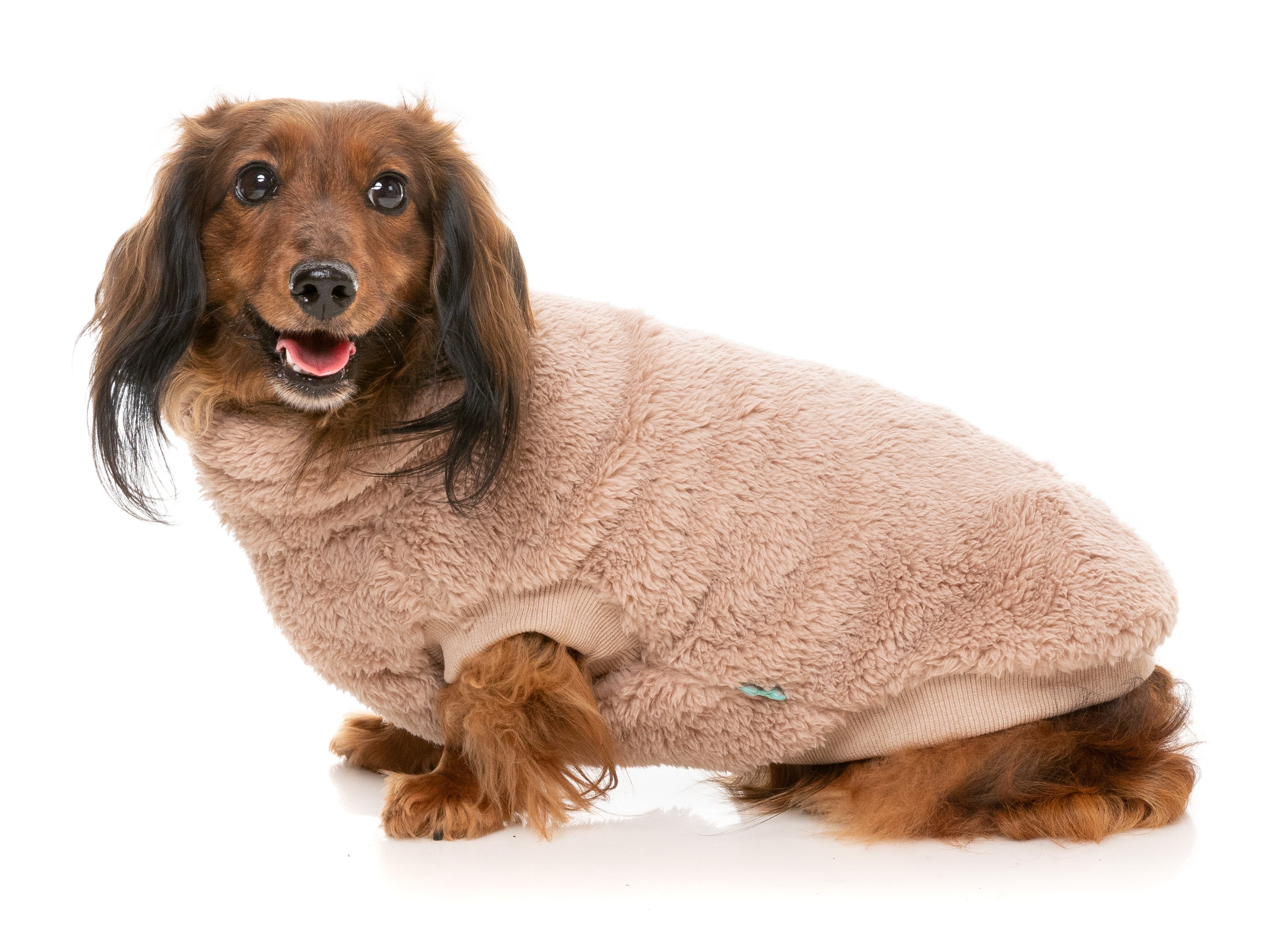 Turtle Teddy 24 Sweater -Chai