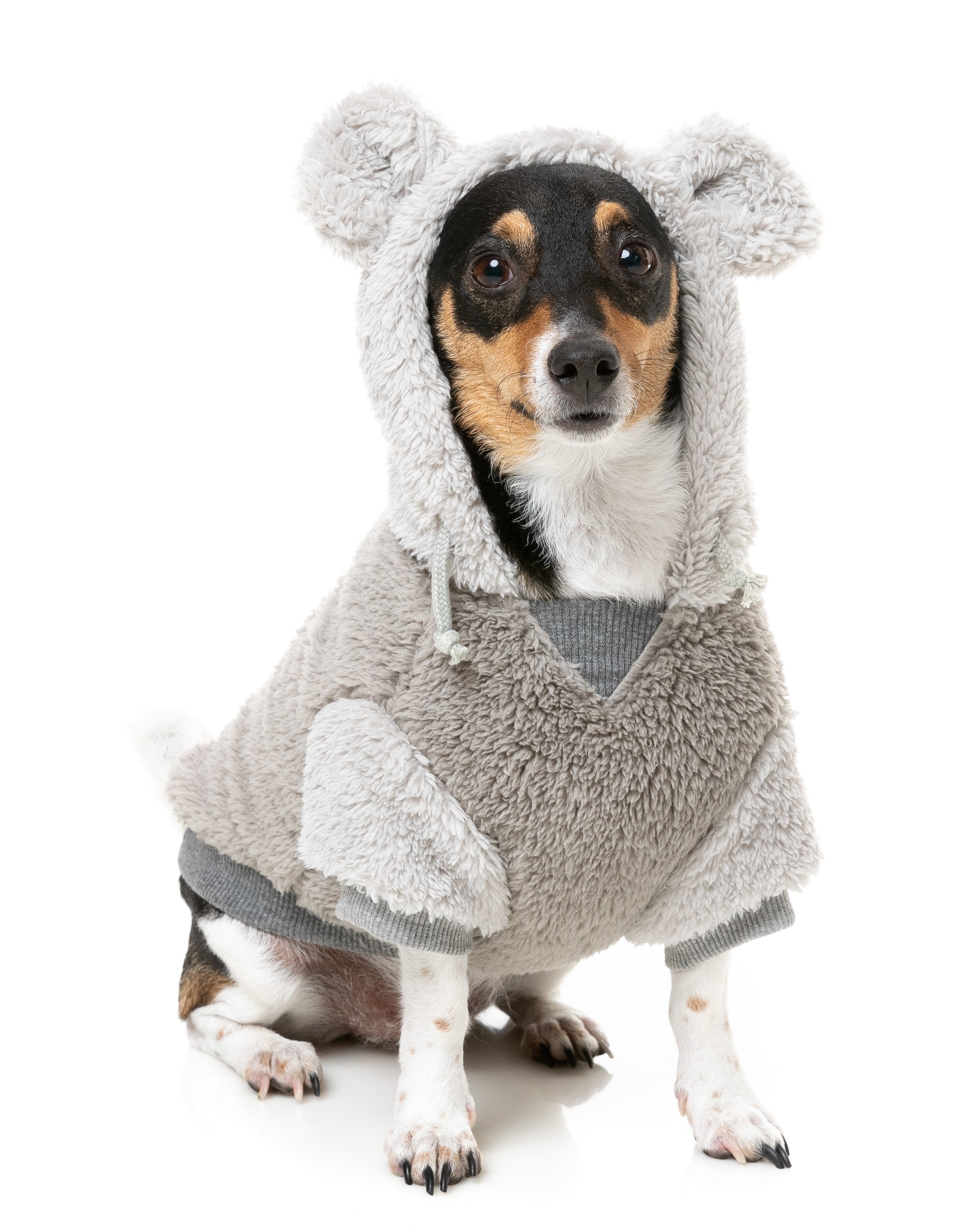 Winnie Hoodie - Grey