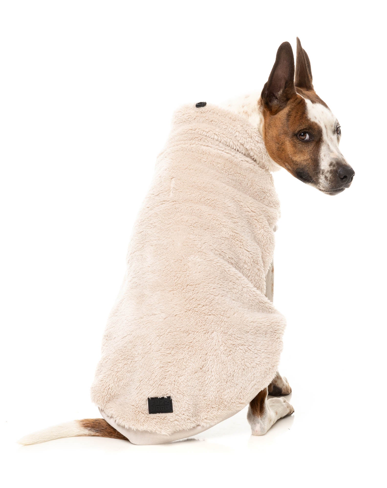 Turtle Teddy 25 Sweater - Beige
