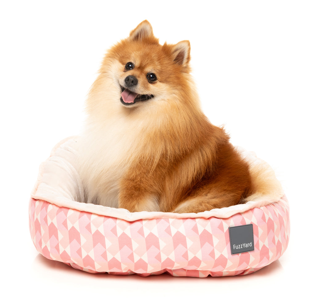 Reversible Bed - Pink Lemonade