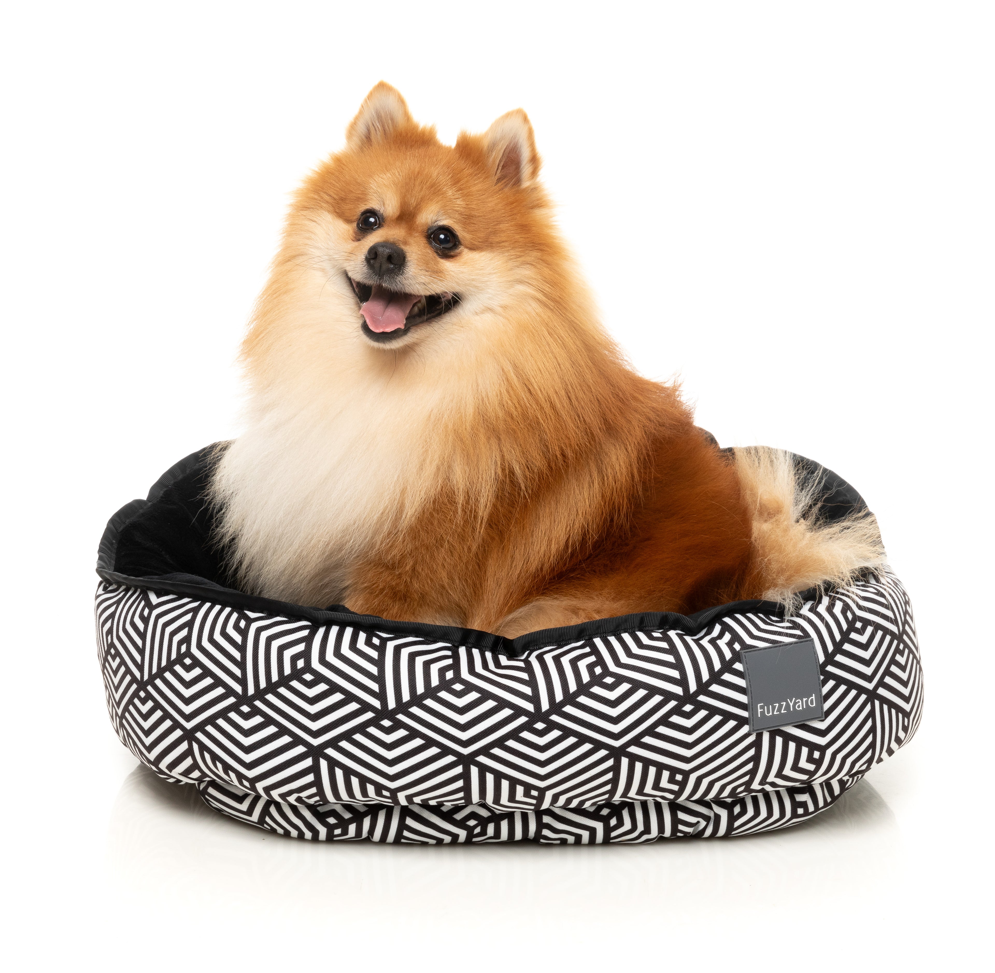 Reversible Bed - Fitzroy