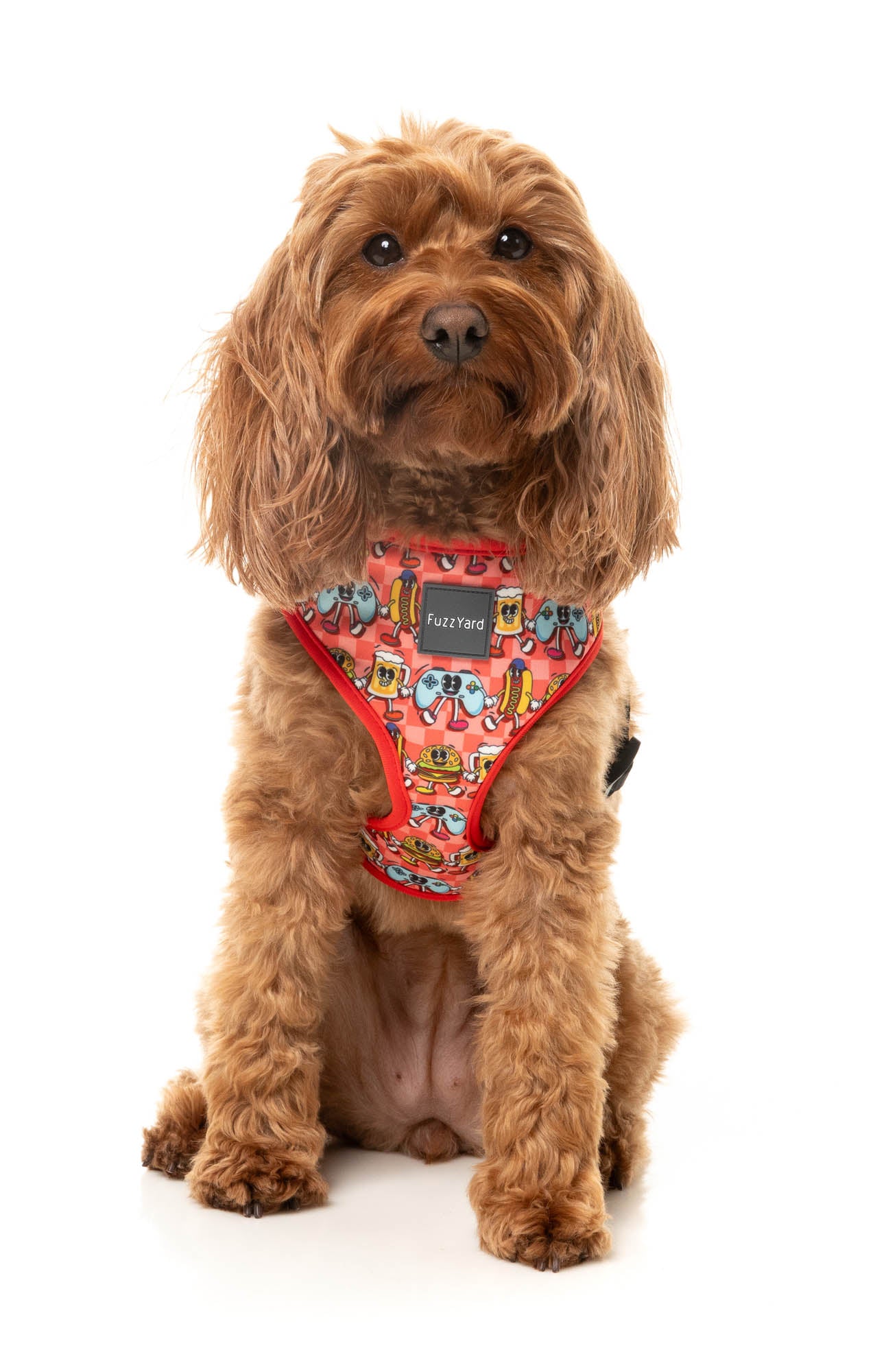 The Homies - Step in Dog Harness