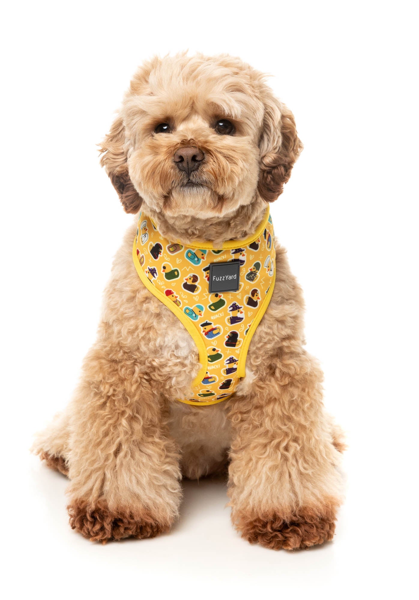 What The Duck - Step In Dog Harness