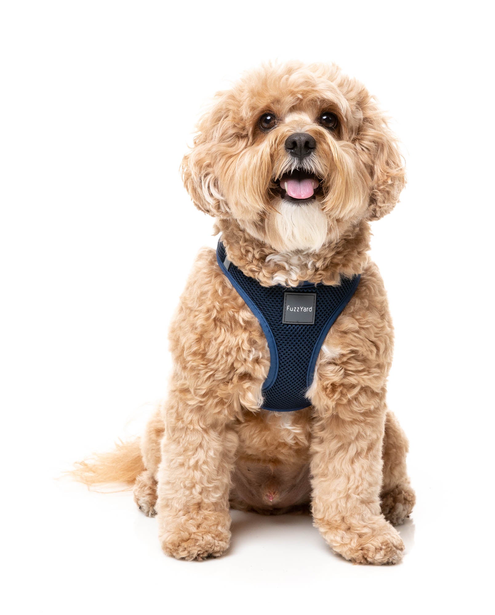 Marine – Step-In Dog Harness