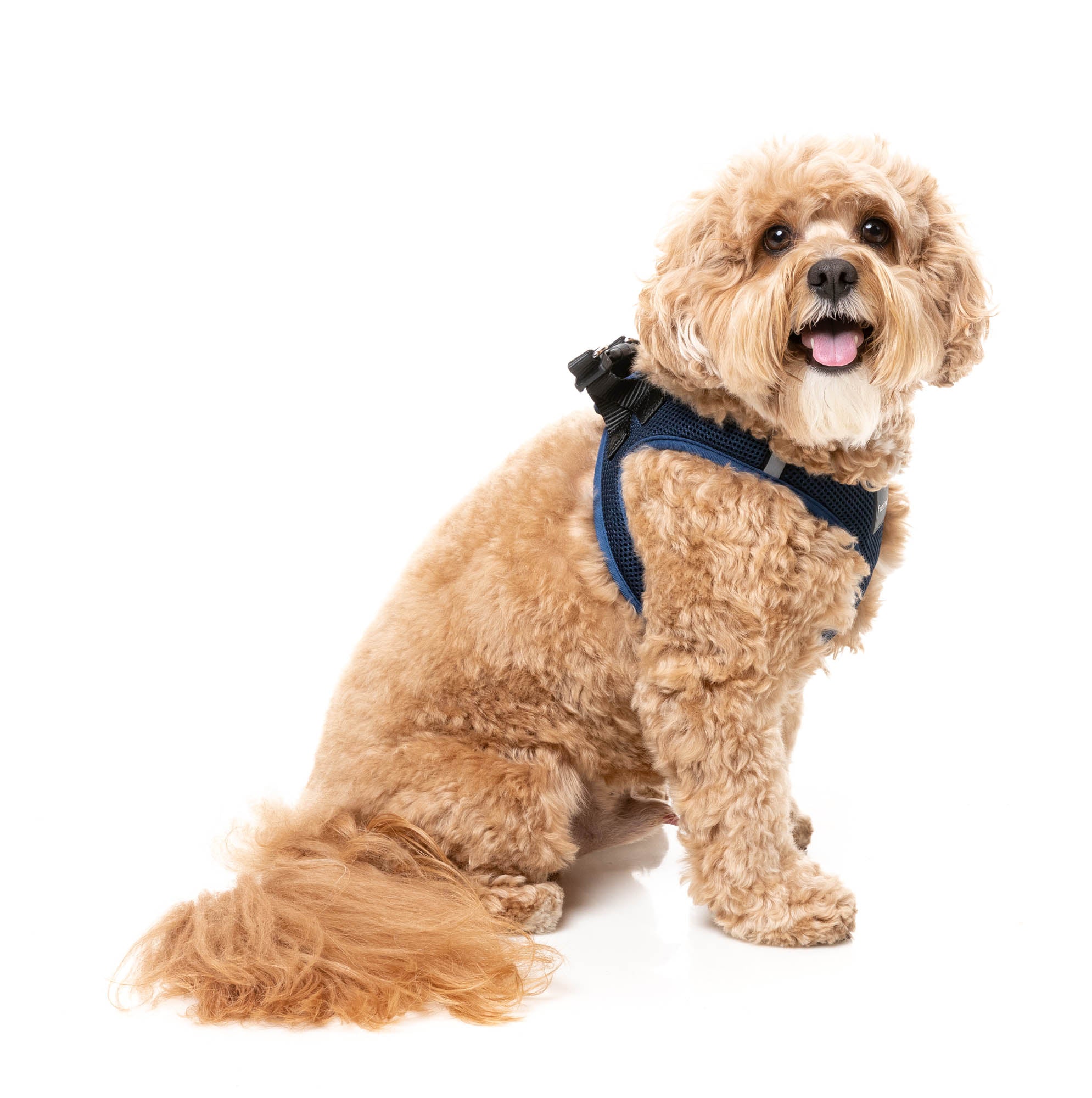 Marine – Step-In Dog Harness