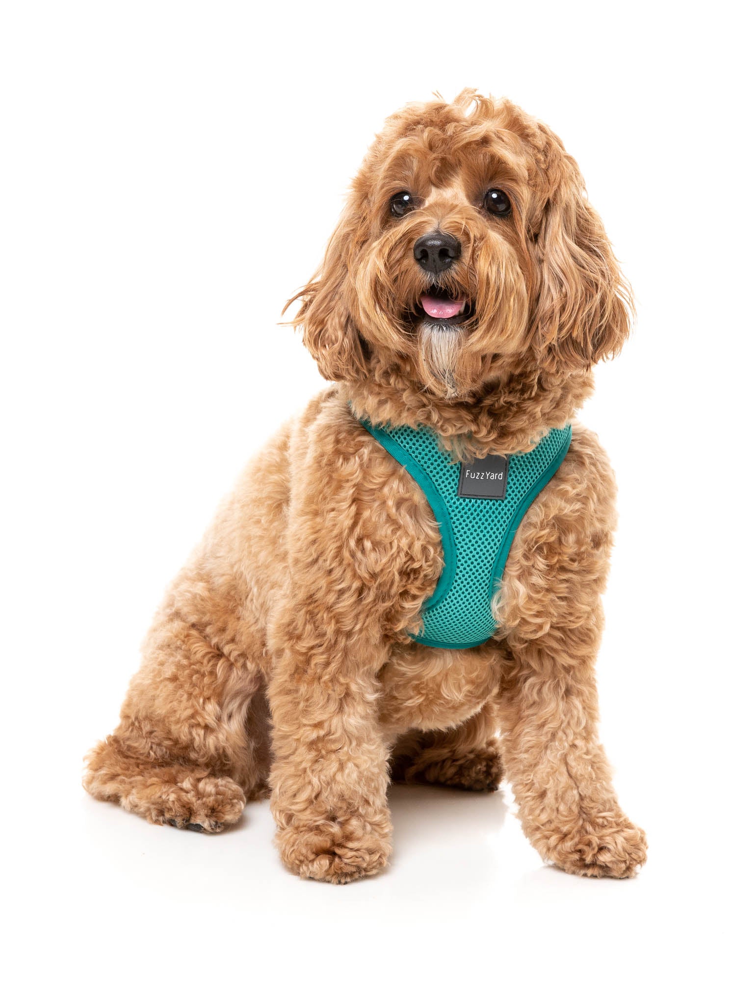 Lagoon – Step-In Dog Harness