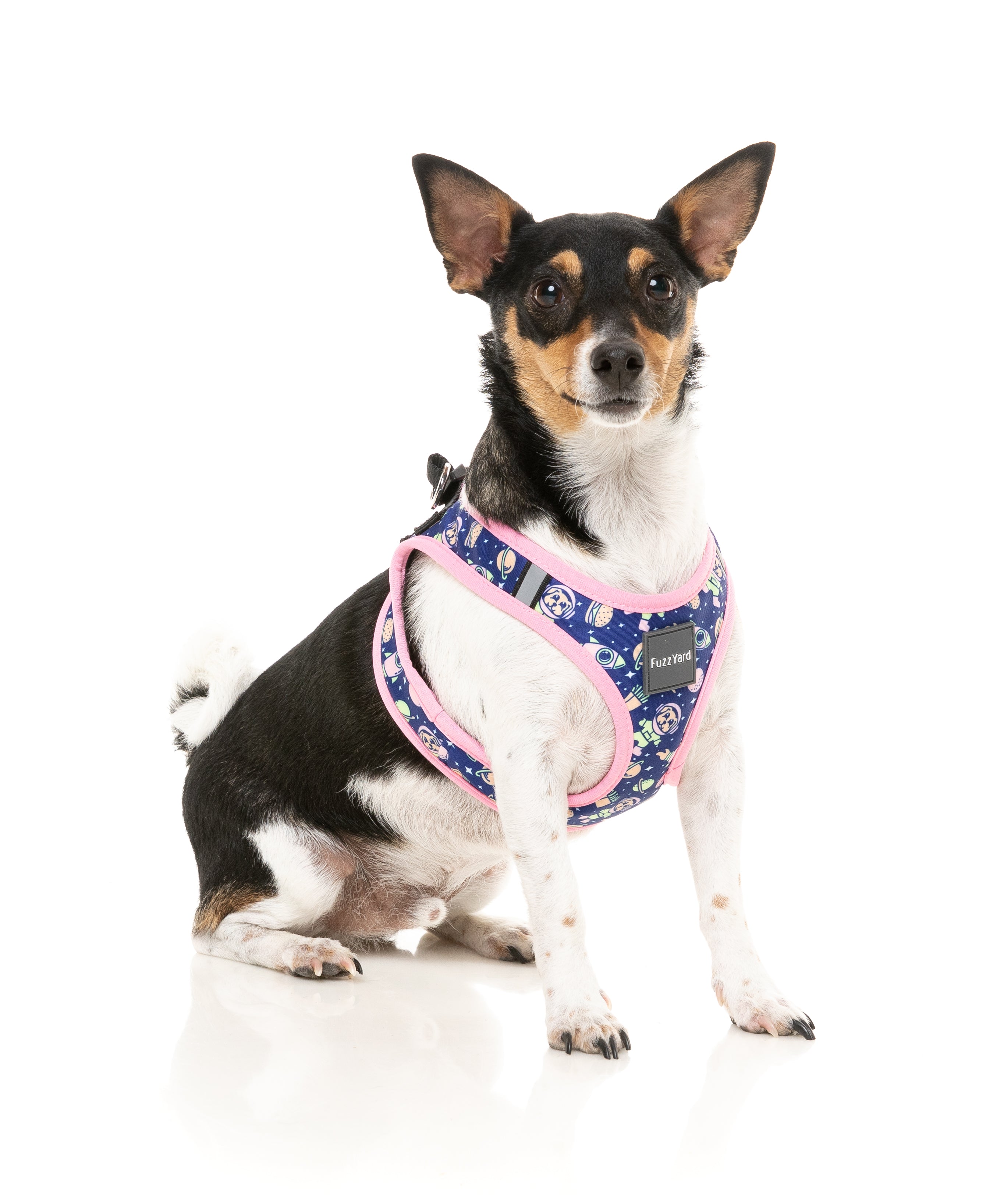 Pluto Pup - Step In Dog Harness