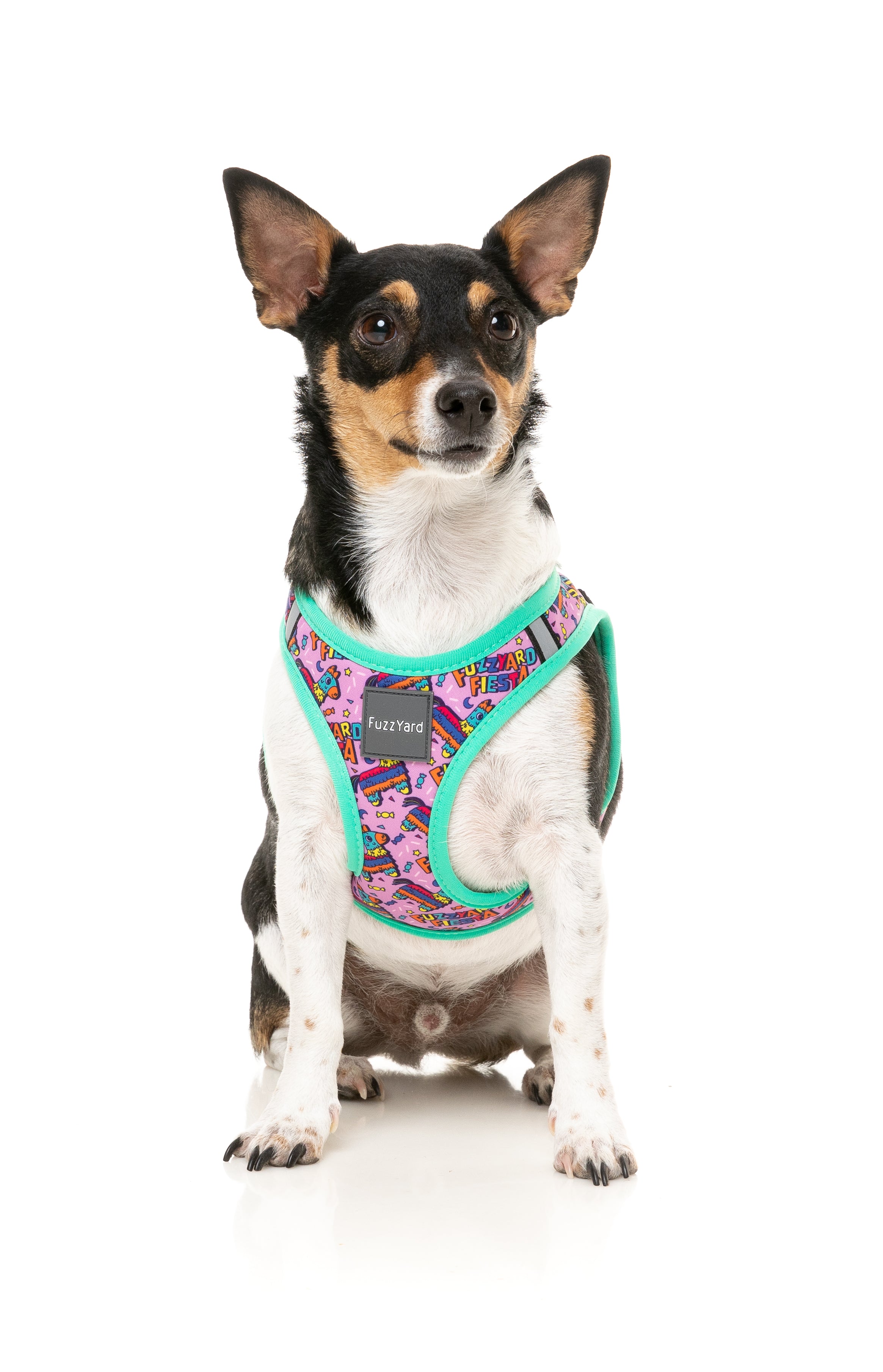 Fiesta – Step-In Dog Harness