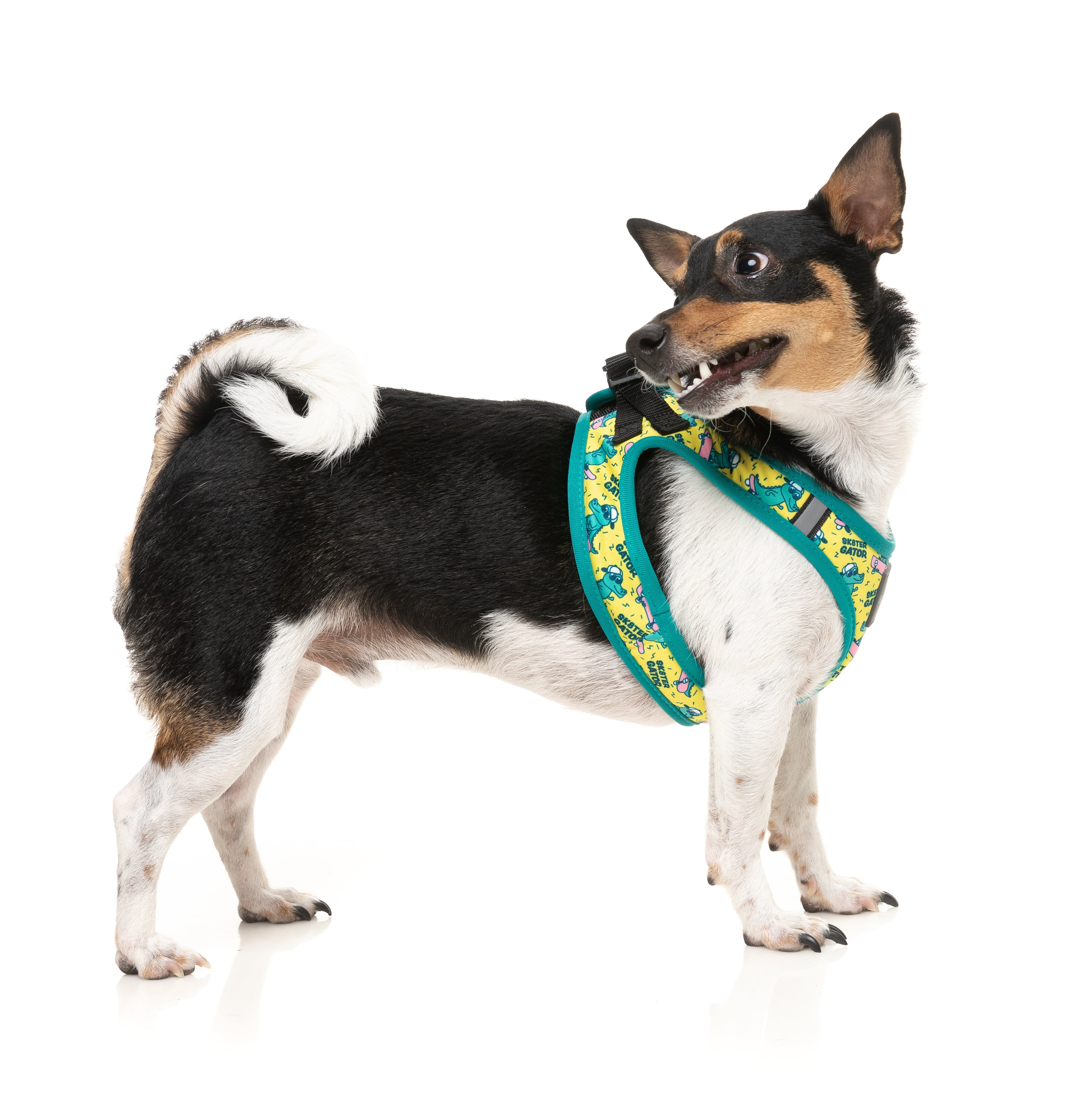 Sk8ter Gator – Step-In Dog Harness