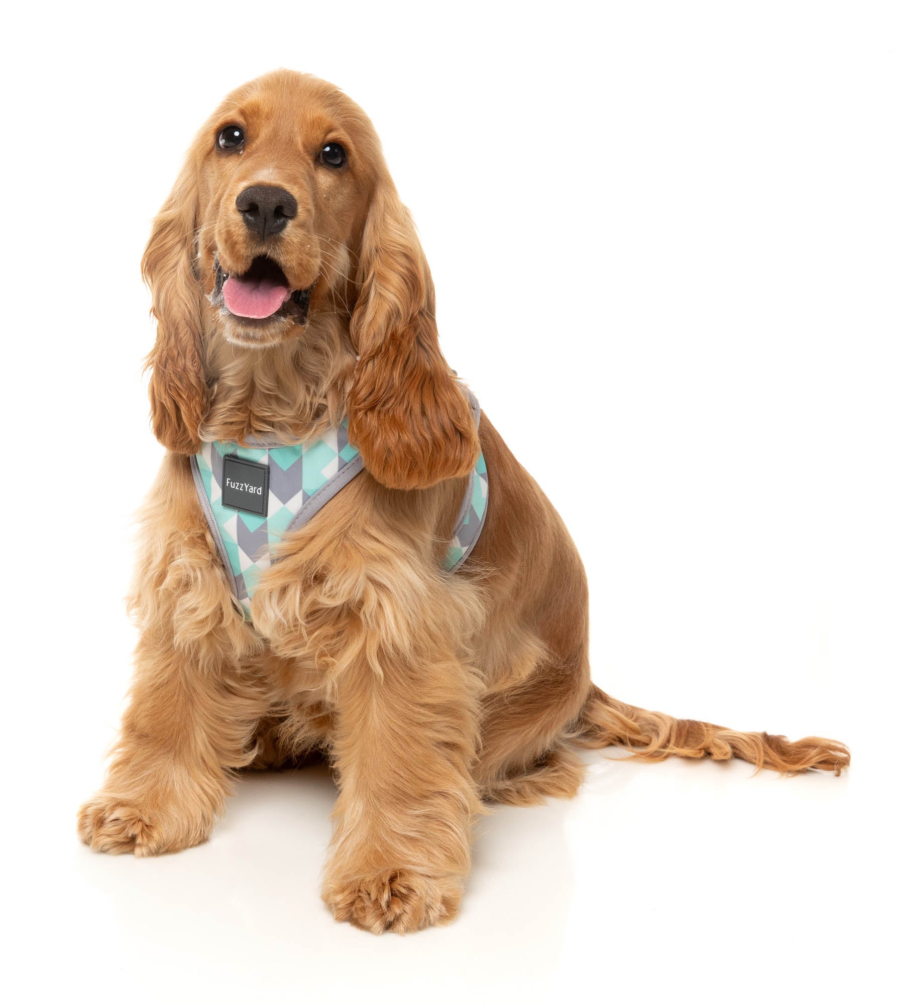 Mint Fizz – Step-In Dog Harness