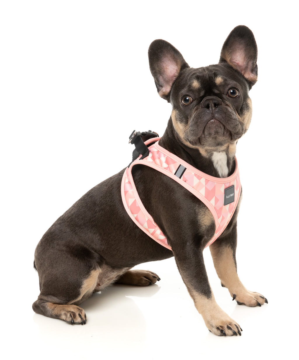 Pink Lemonade - Step In Dog Harness