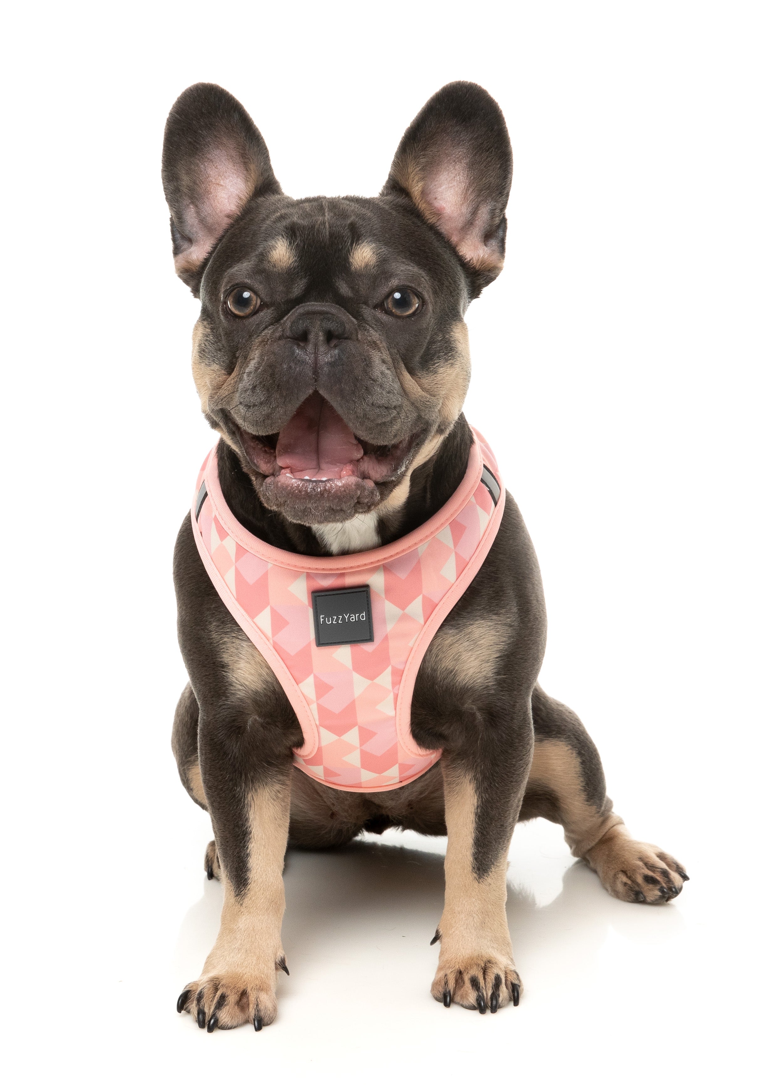 Pink Lemonade - Step In Dog Harness