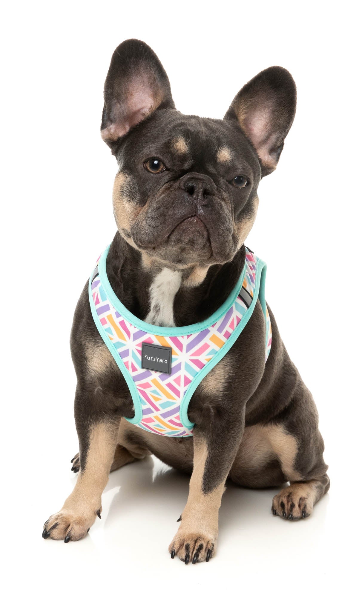 Bubblegum Burst – Step-In Dog Harness