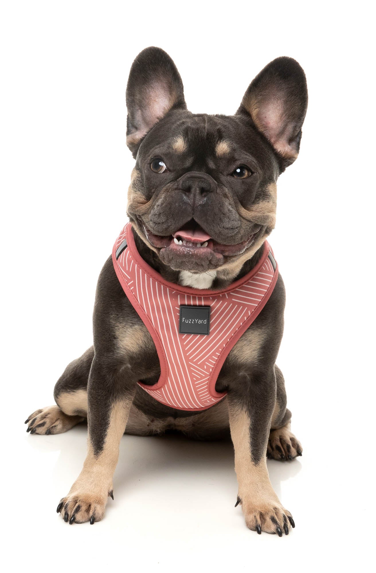Thornbury - Brick Red Step In Dog Harness