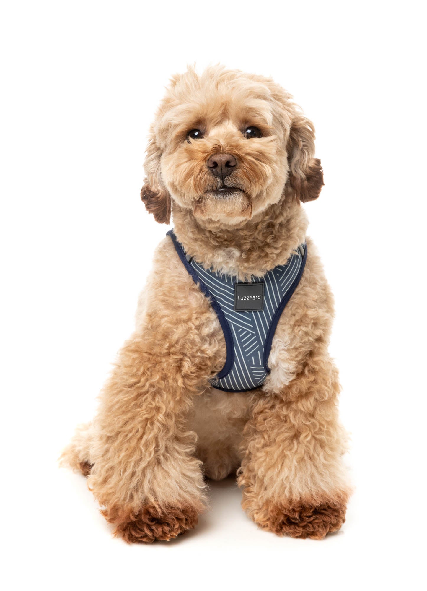 Thornbury - Aegean Blue Step In Dog Harness