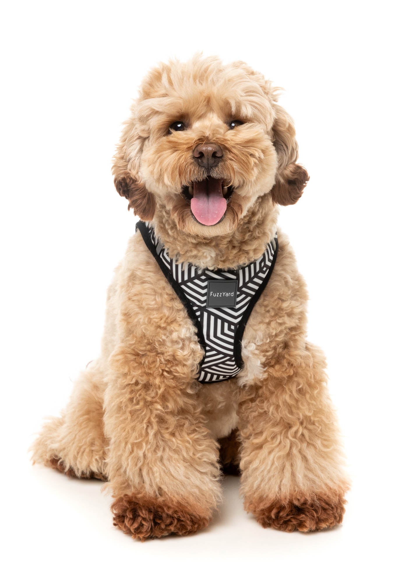 Fitzroy – Step-In Dog Harness