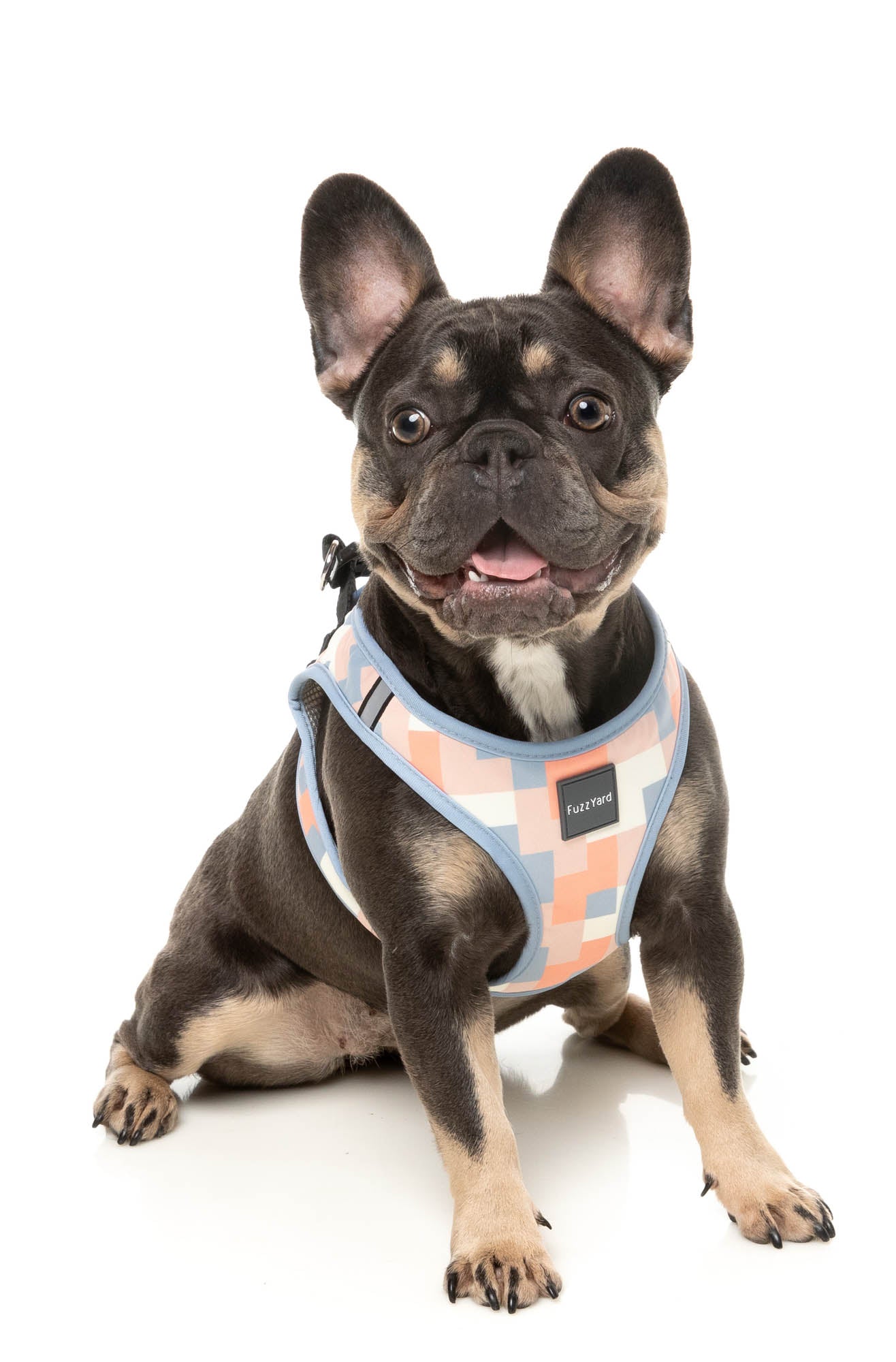 Yazd – Step-In Dog Harness