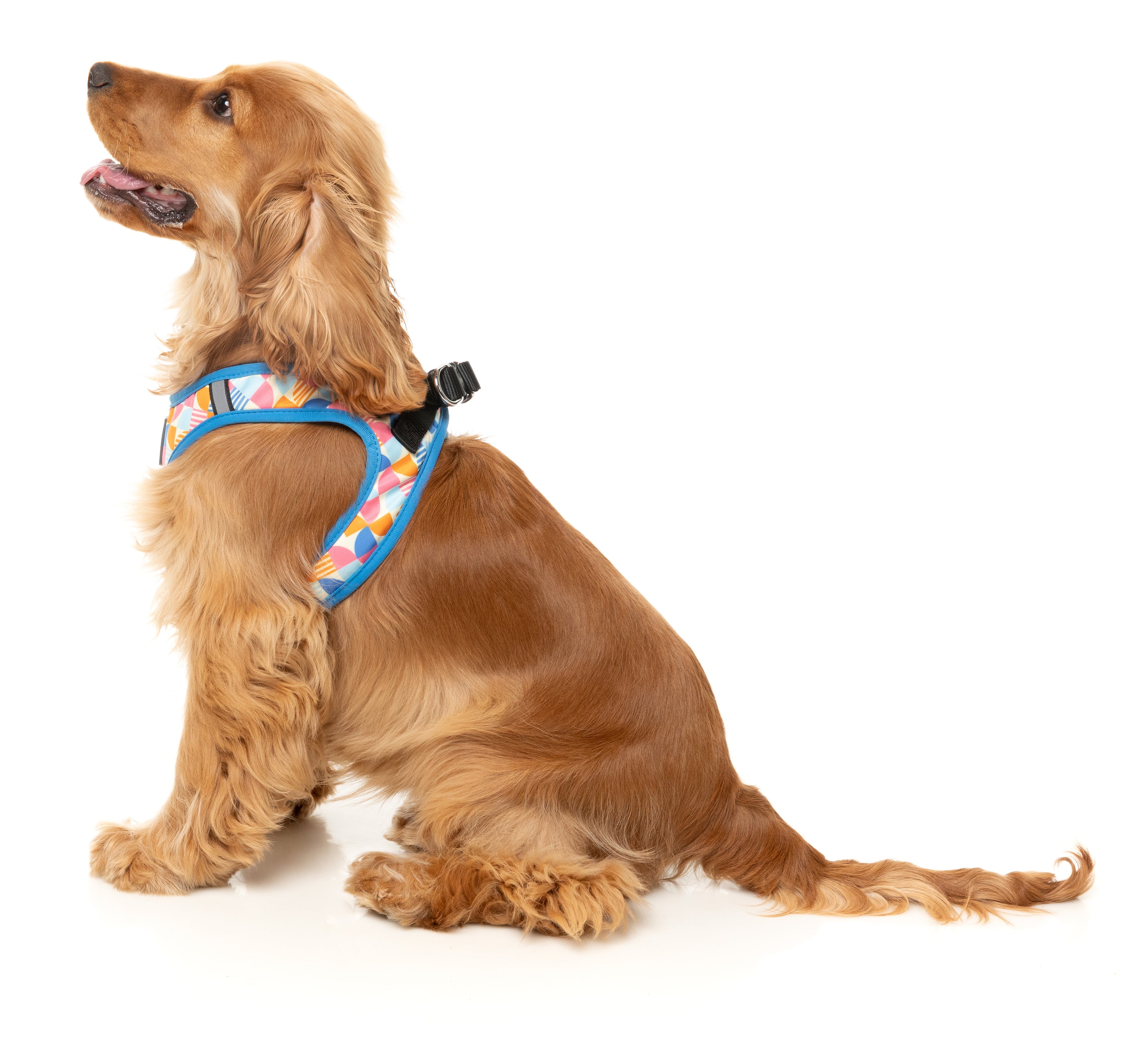 Fresh Zest - Step In Dog Harness