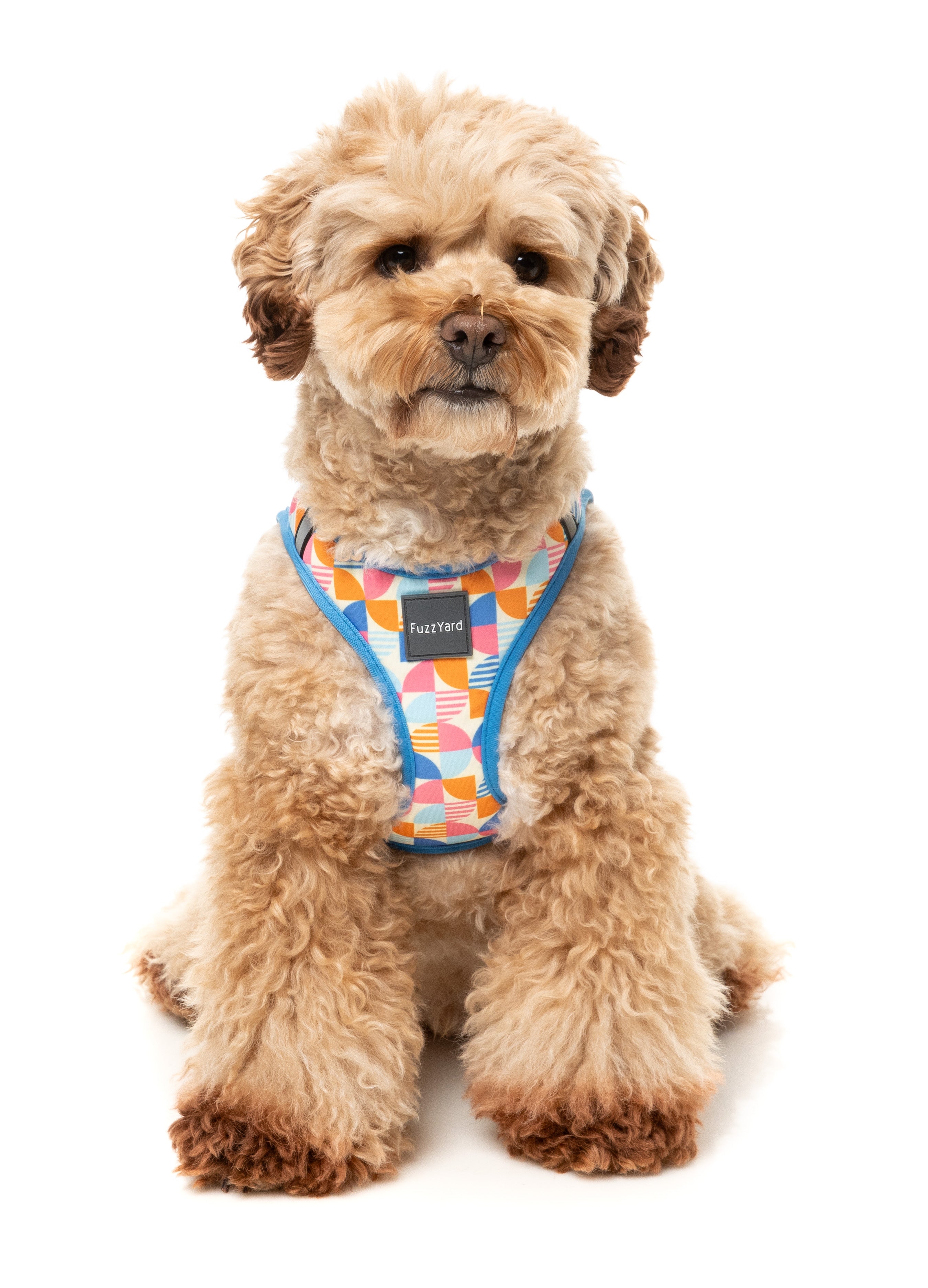 Fresh Zest - Step In Dog Harness