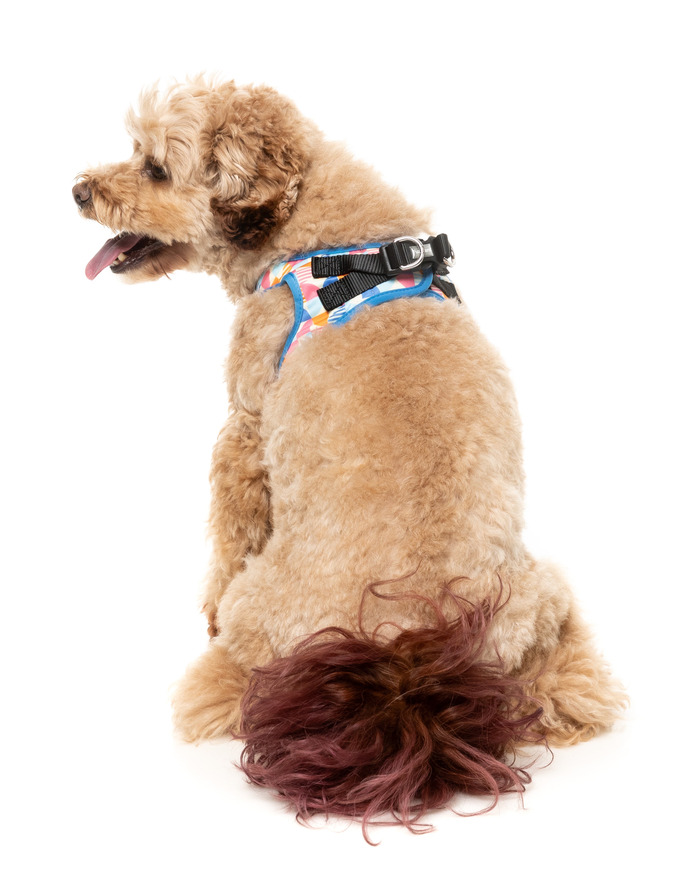 Fresh Zest - Step In Dog Harness