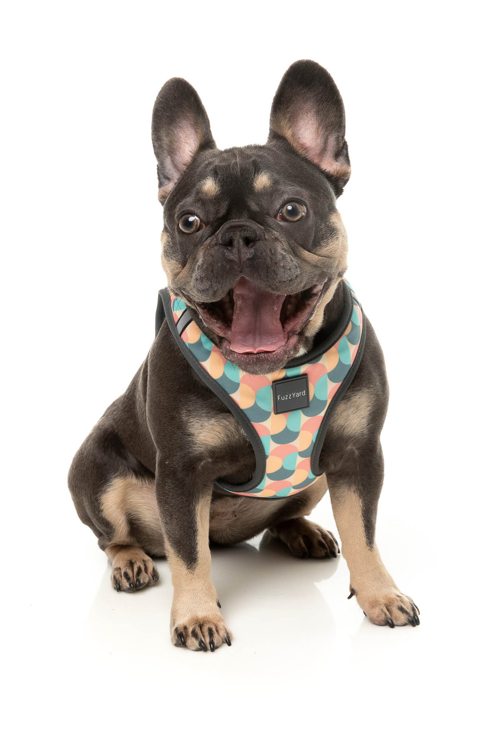 Carioca - Step In Dog Harness