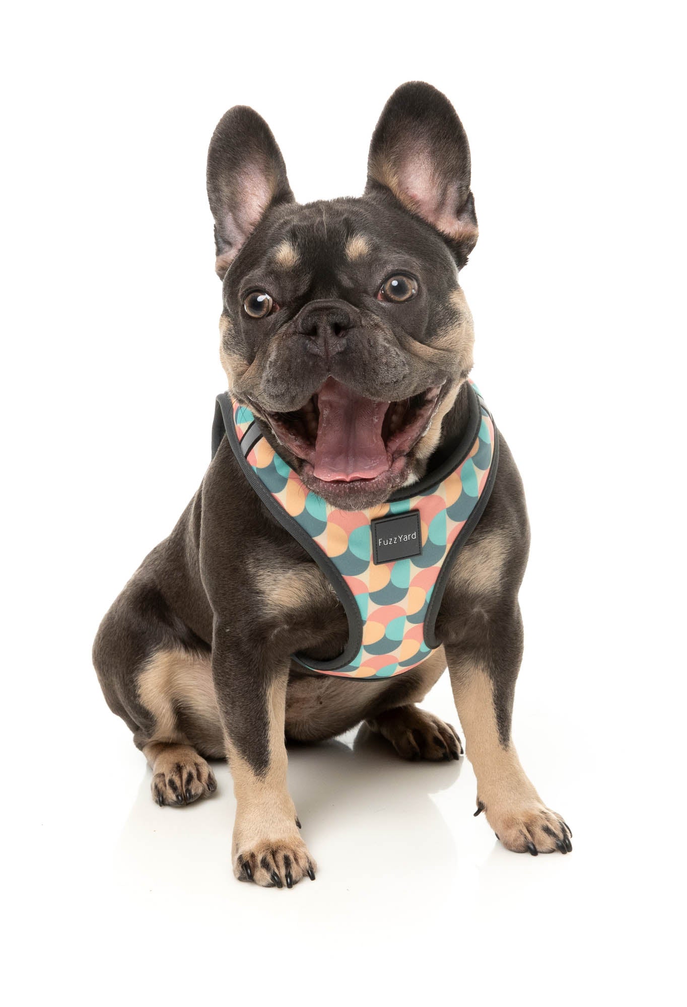 Carioca - Step In Dog Harness