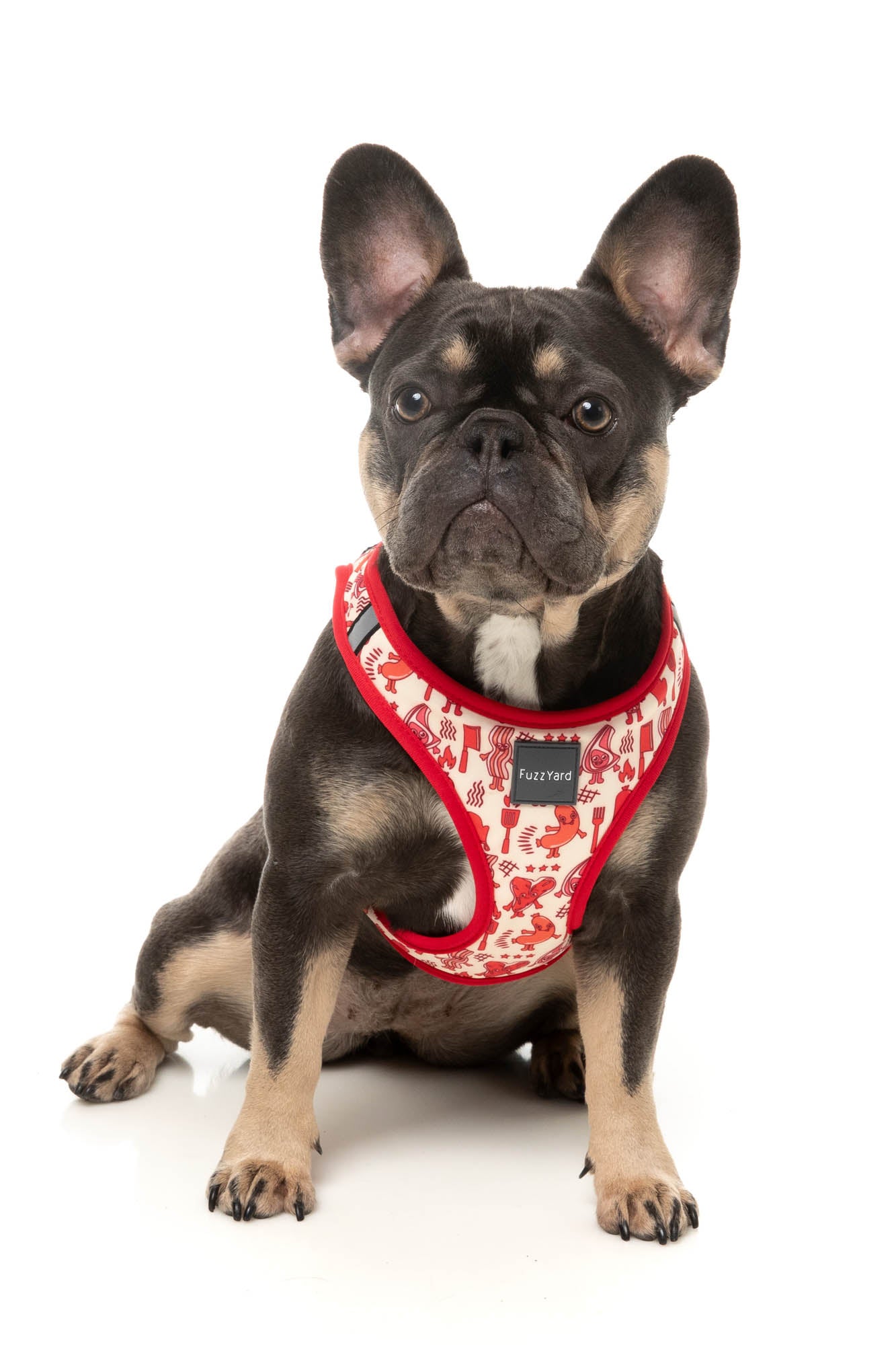 Meat Head - Step In Dog Harness