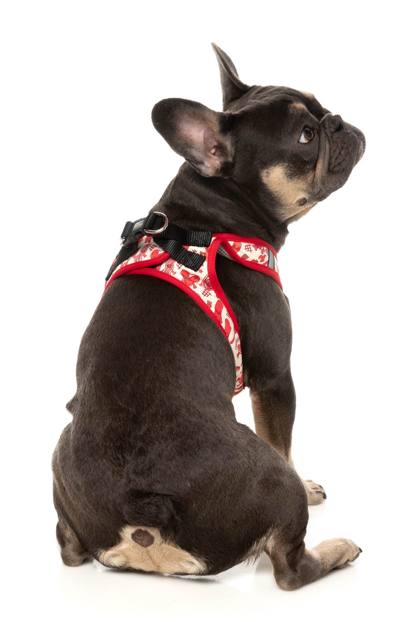 Meat Head - Step In Dog Harness