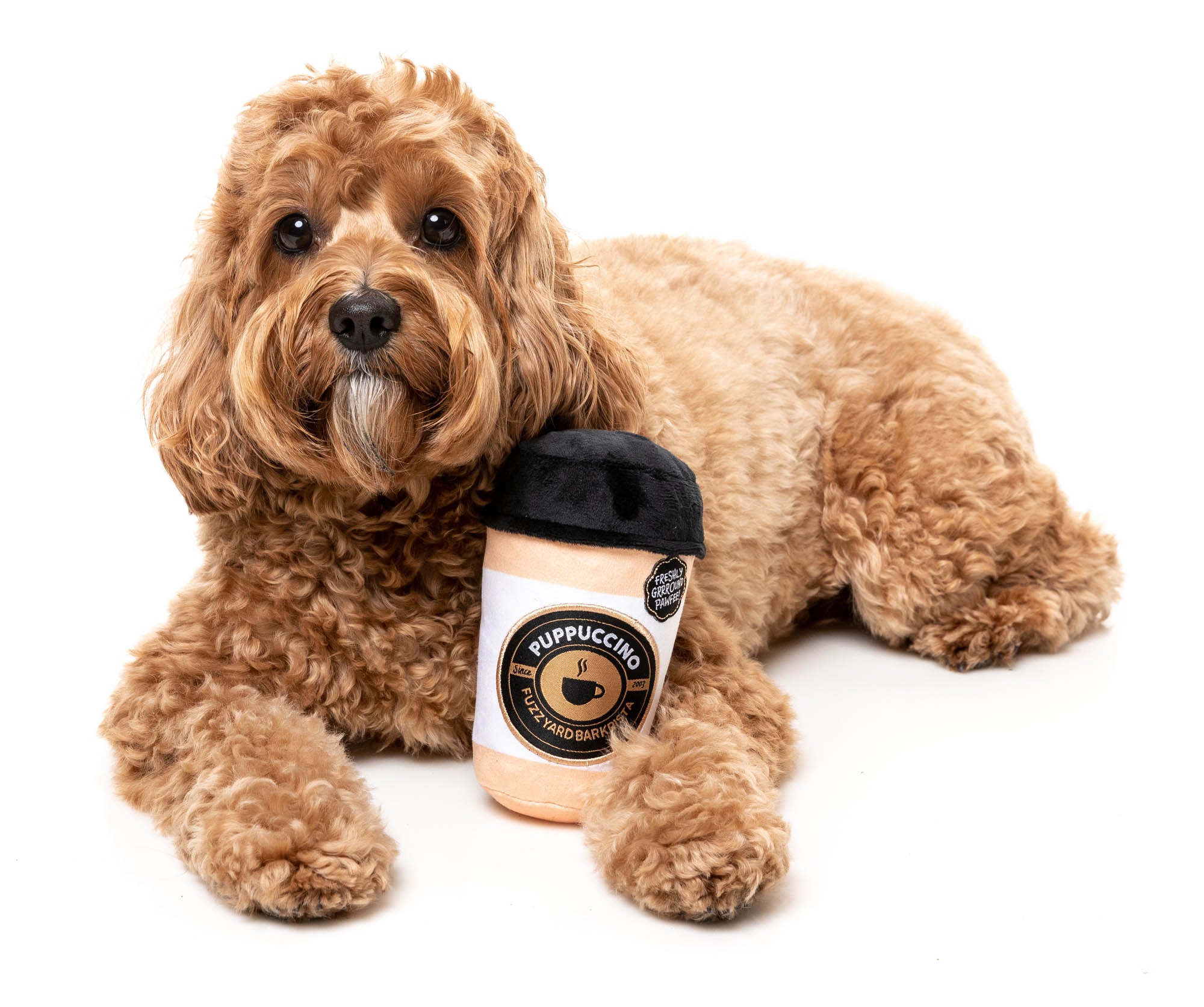 🎁 Barkrista Puppuccino (100% off)