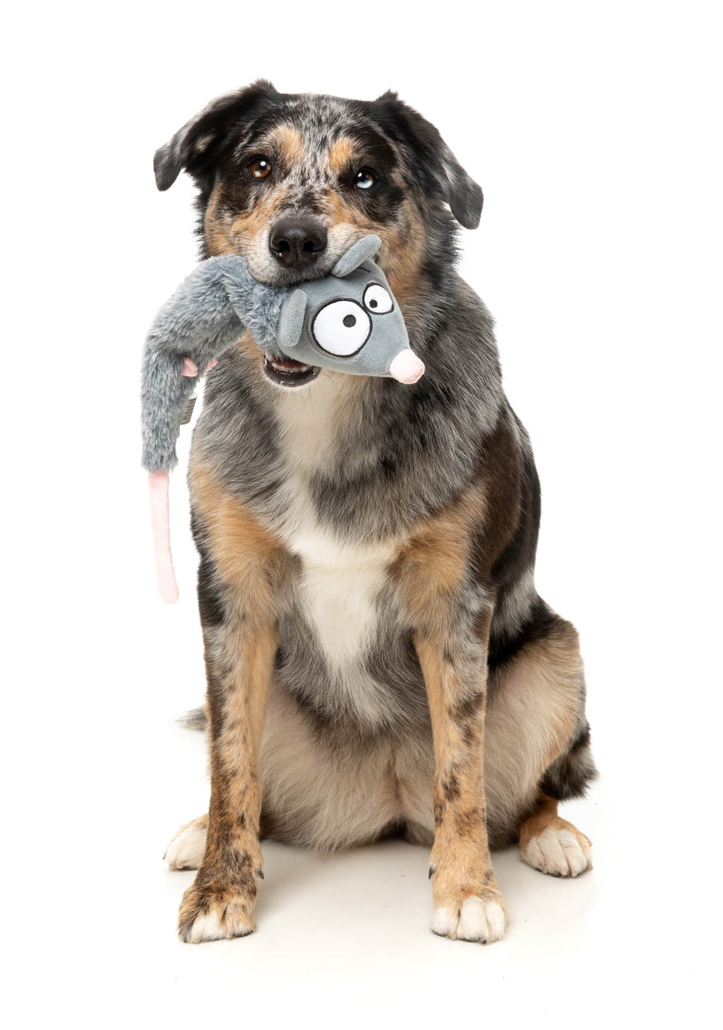 Rack Off Rat - The Yeetz