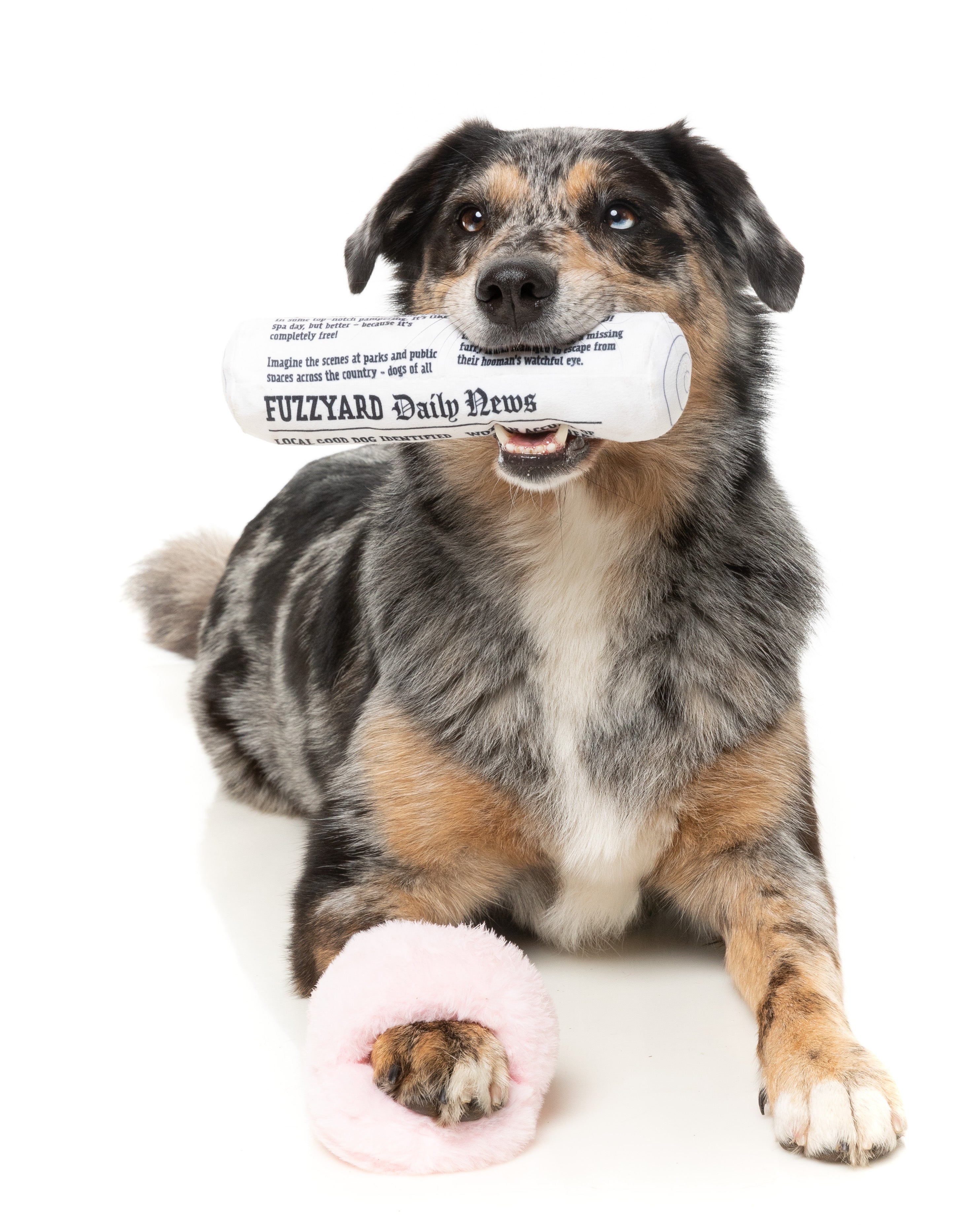 Fetch My Slippers & Paper 2PK