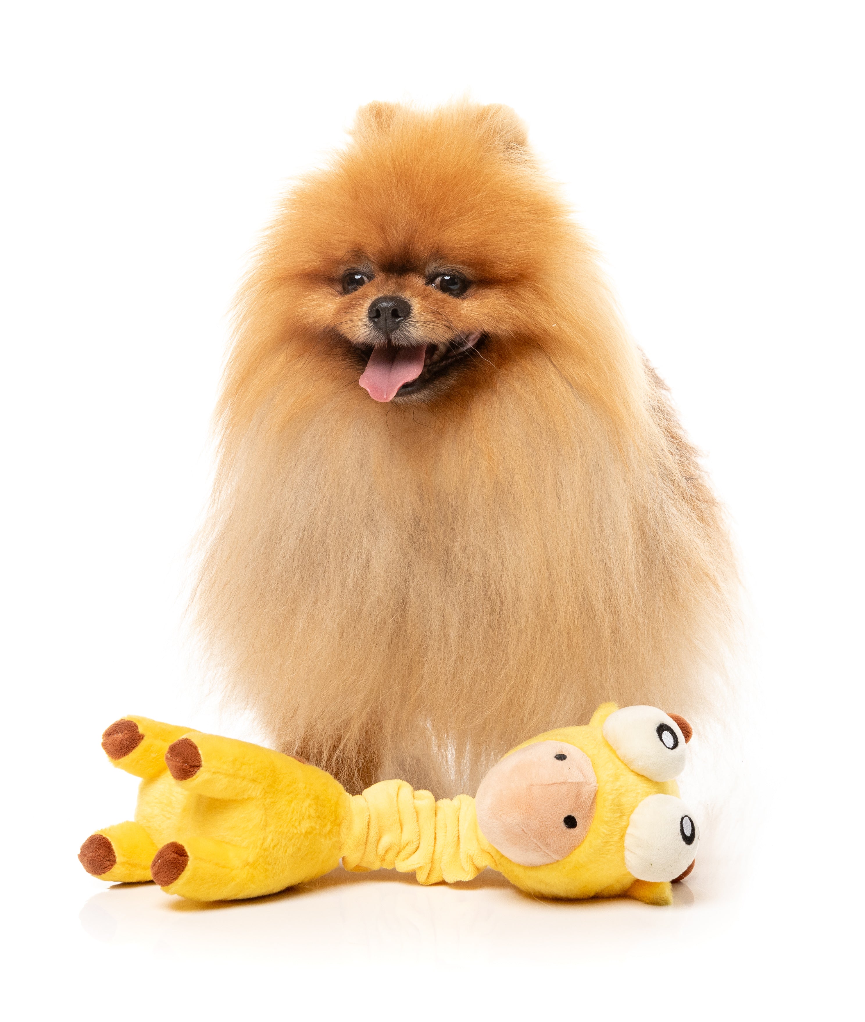 Neckoholas The Giraffe