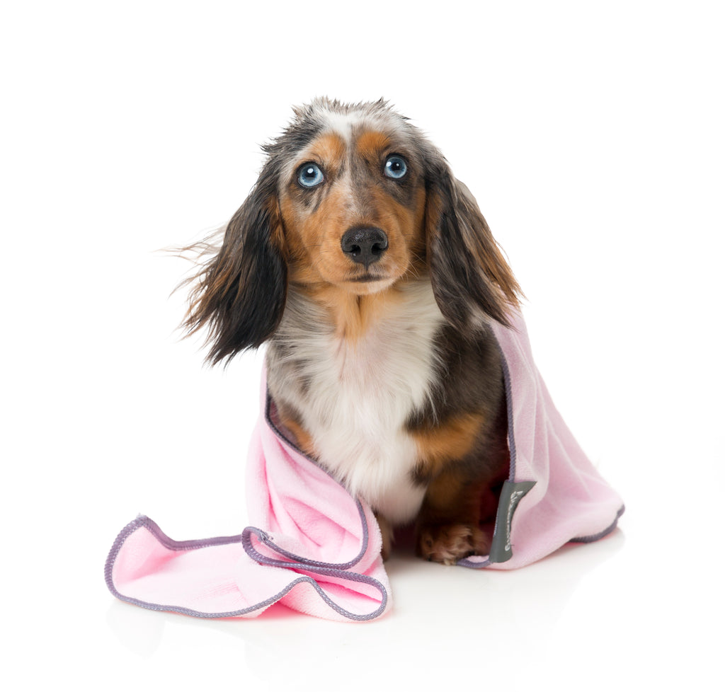 Microfibre Drying Towel For Puppies, Pink With Grey Trim